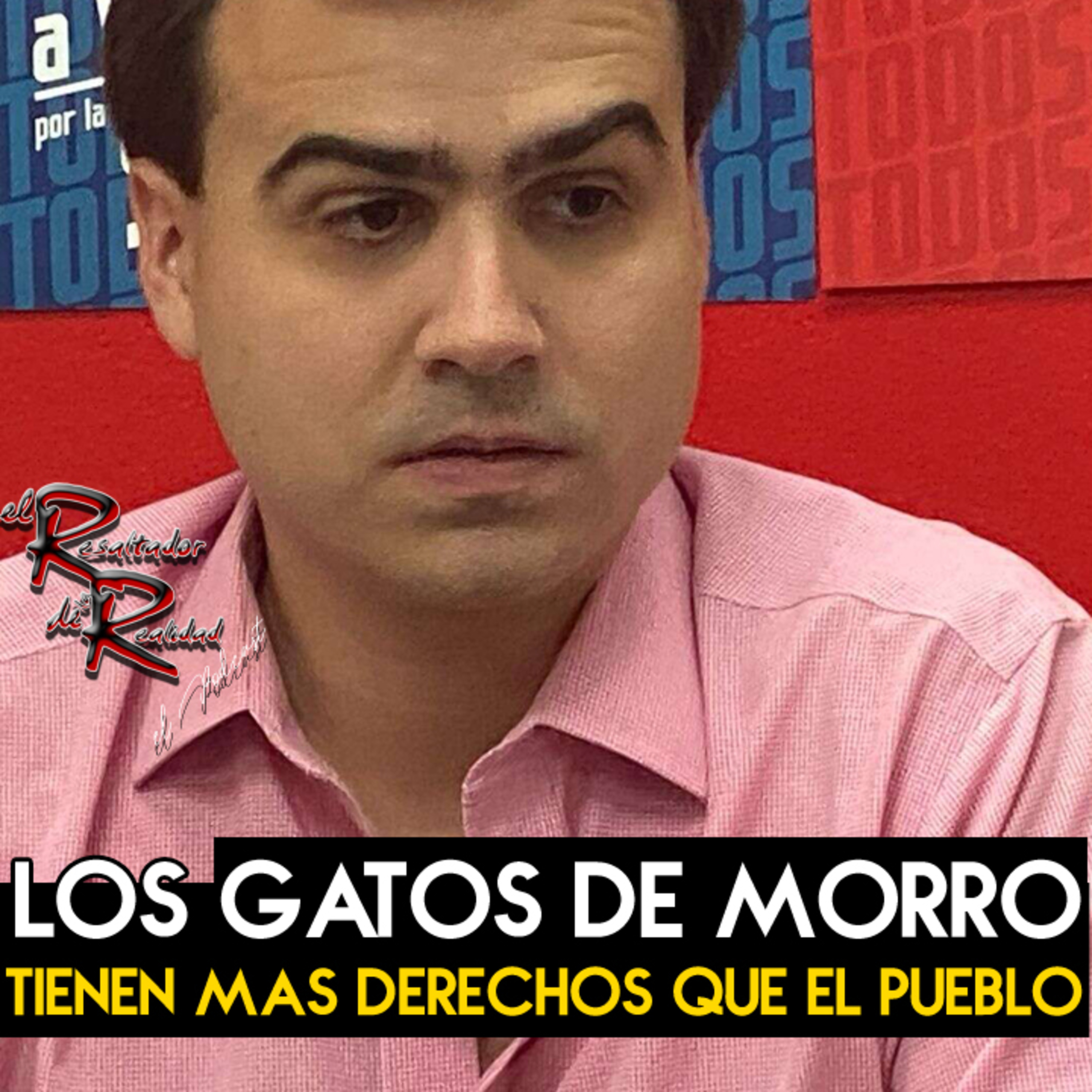 Ep. 255 Los gatos del Morro tienen más derechos que el pueblo | El Resaltador de la Realidad episode artwork