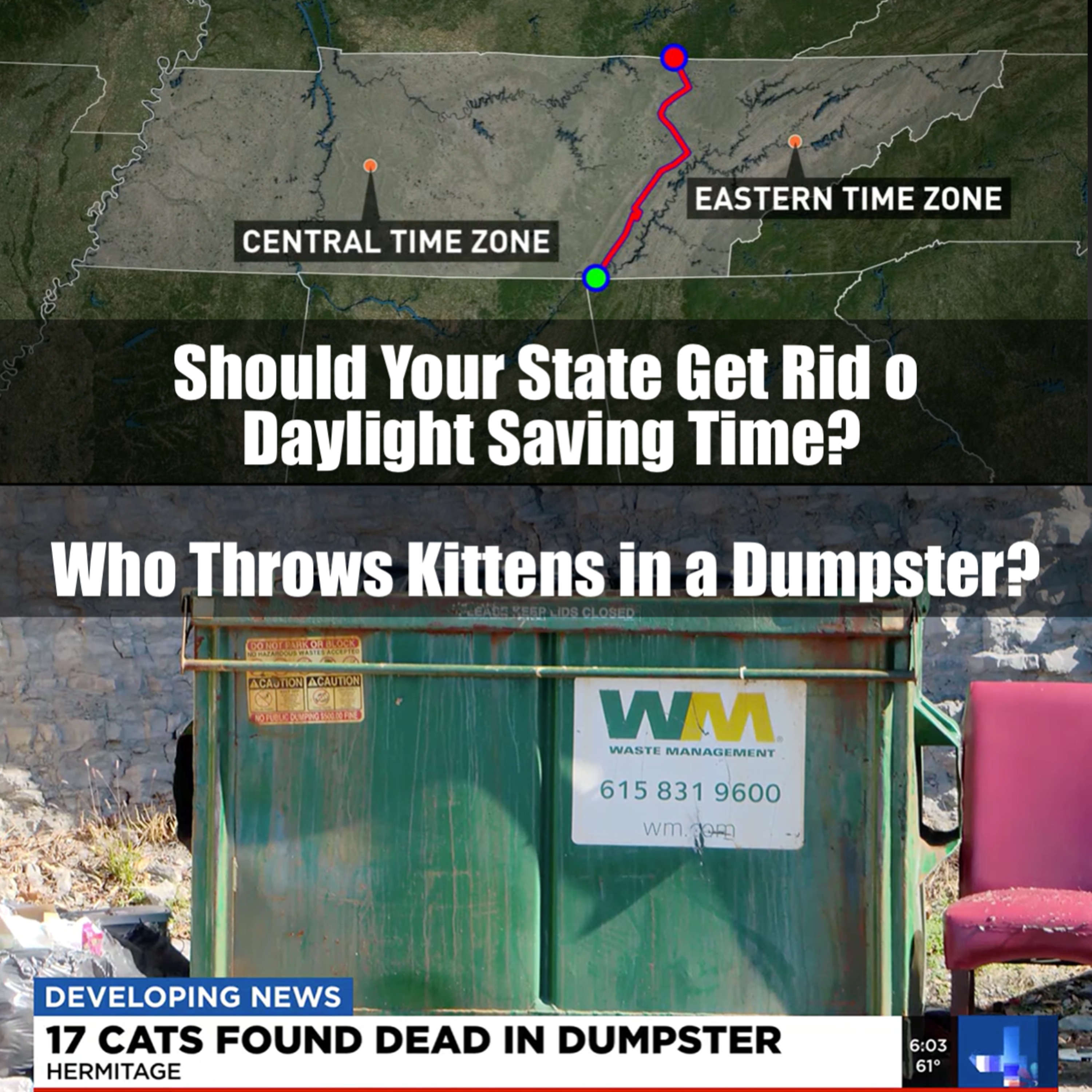 Should Your State Get Rid of Daylight Saving Time? & Who Throws Kittens in a Dumpster? episode artwork