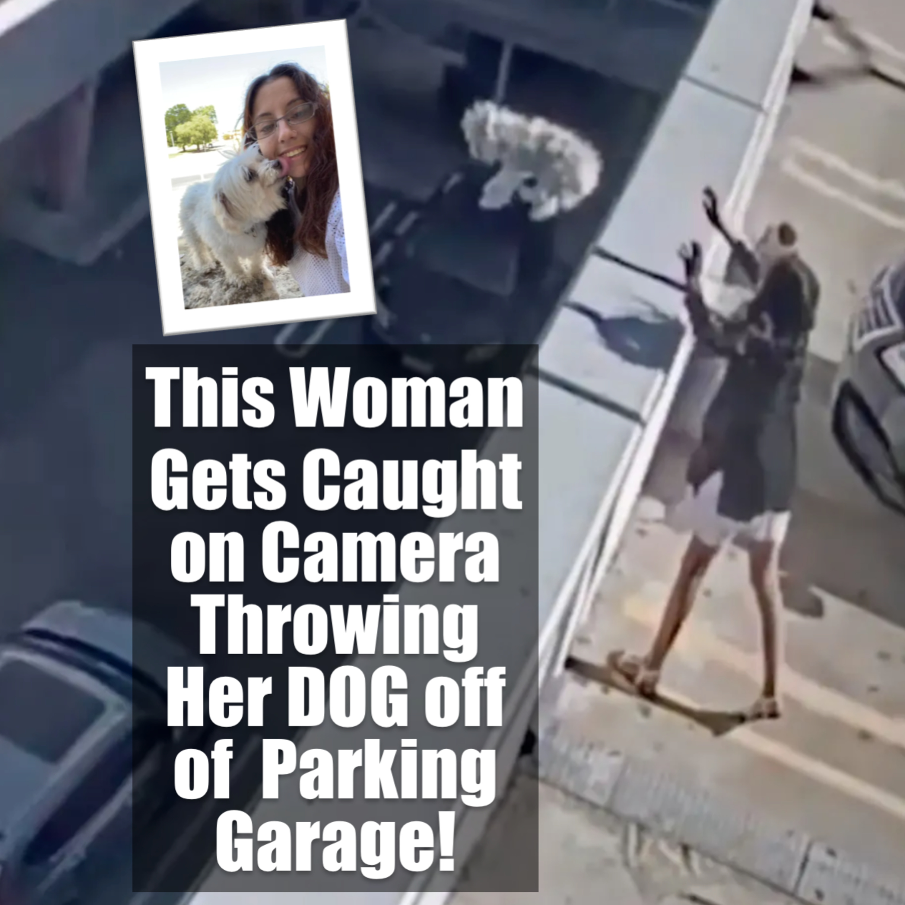 This Woman Gets Caught on Camera Throwing Her DOG off of Parking Garage! episode artwork