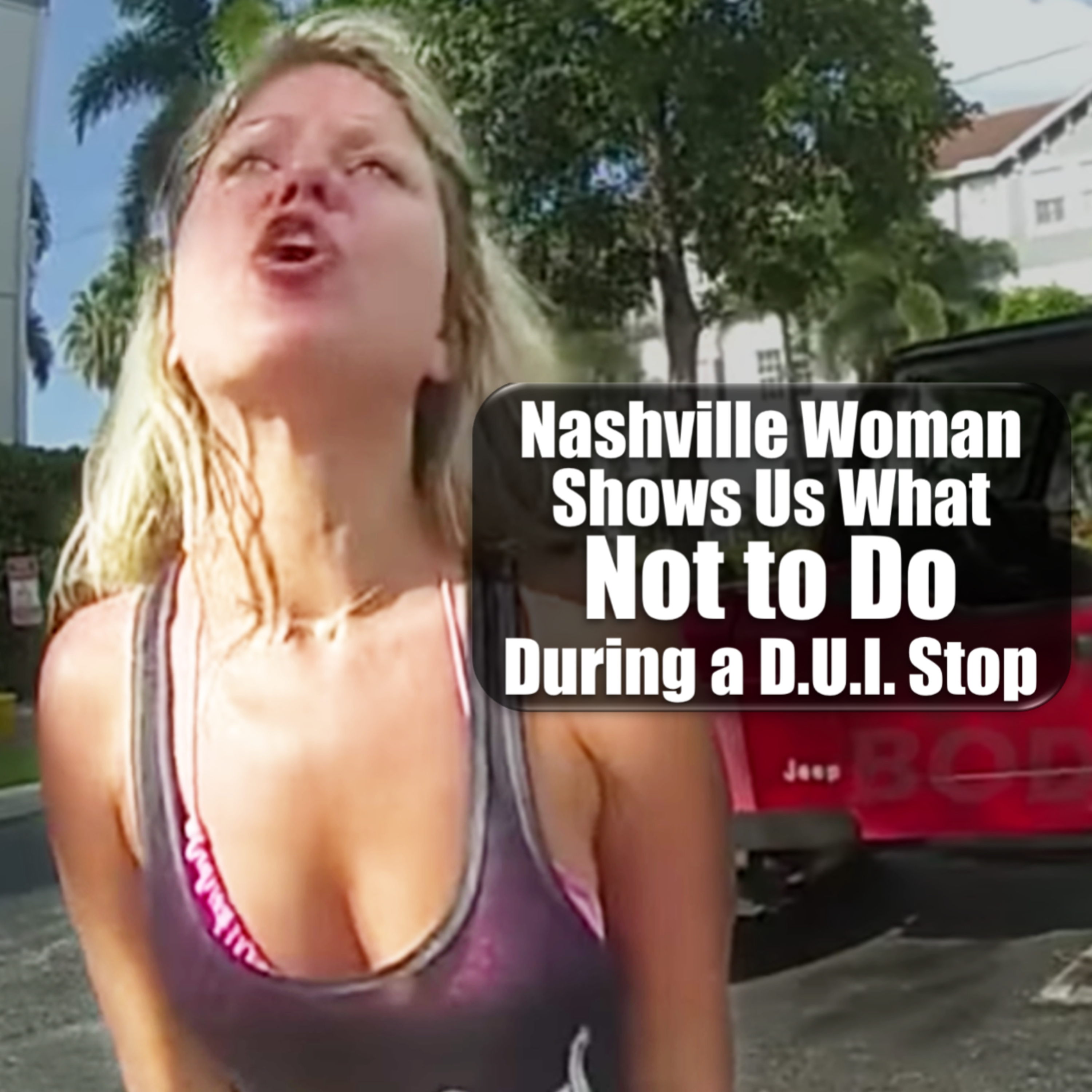 Nashville Woman Shows Us What NOT TO DO during a D.U.I. Stop episode artwork