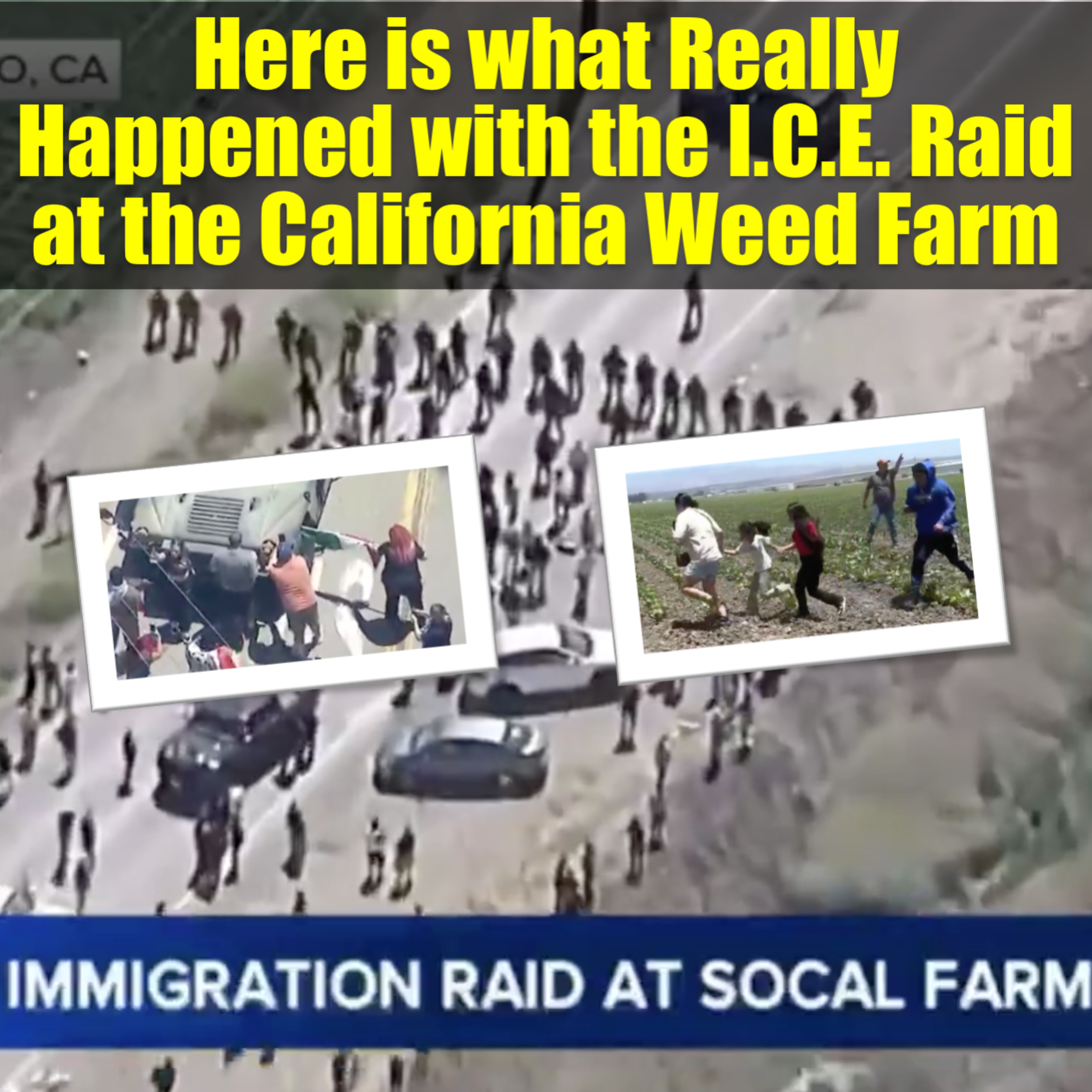 What Really Happened with the I.C.E. Raid at the California Weed Farm? episode artwork