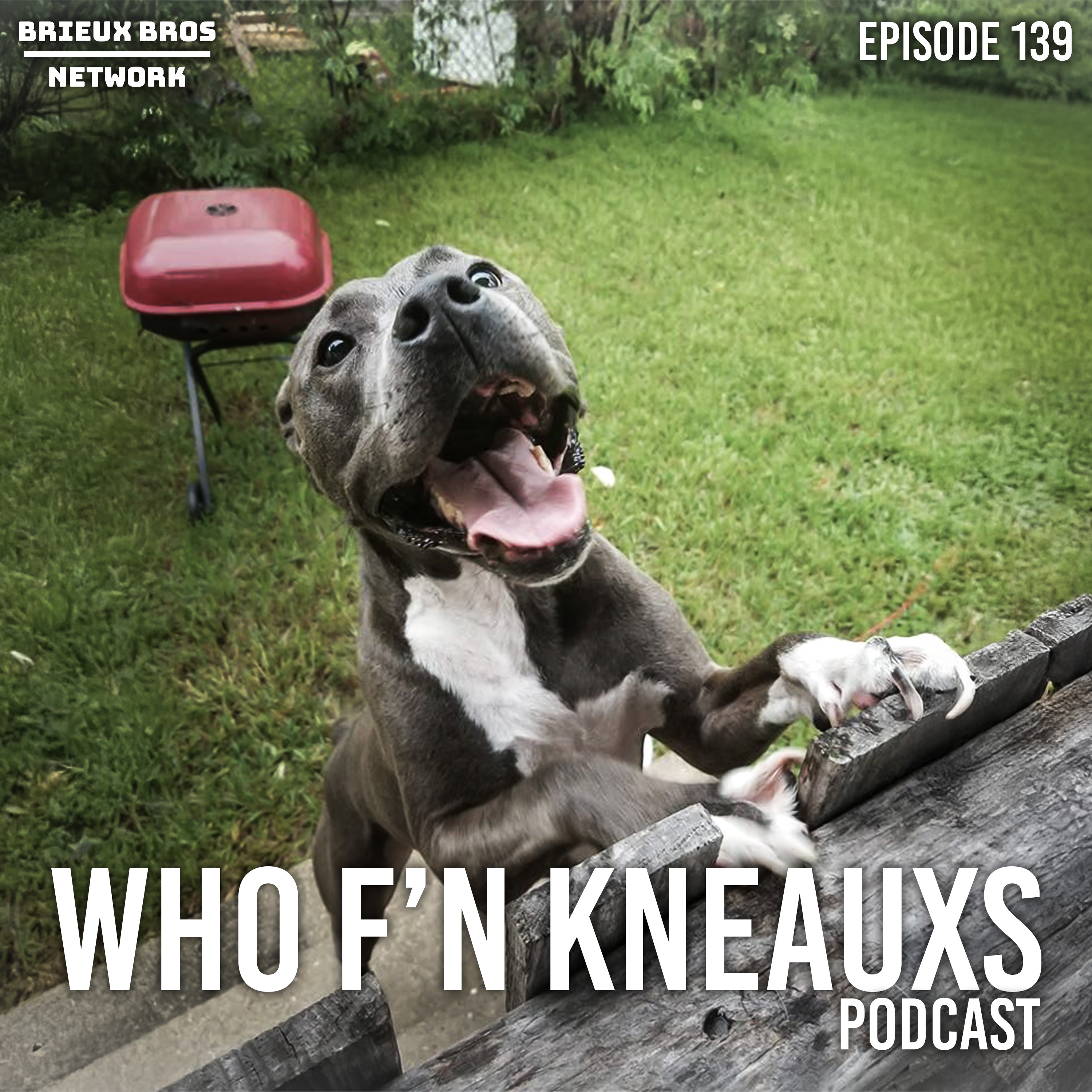 My Dog Died | WFK Ep. 139 - Tom Brady's dog, Hooters outfits, and CFP Bias
