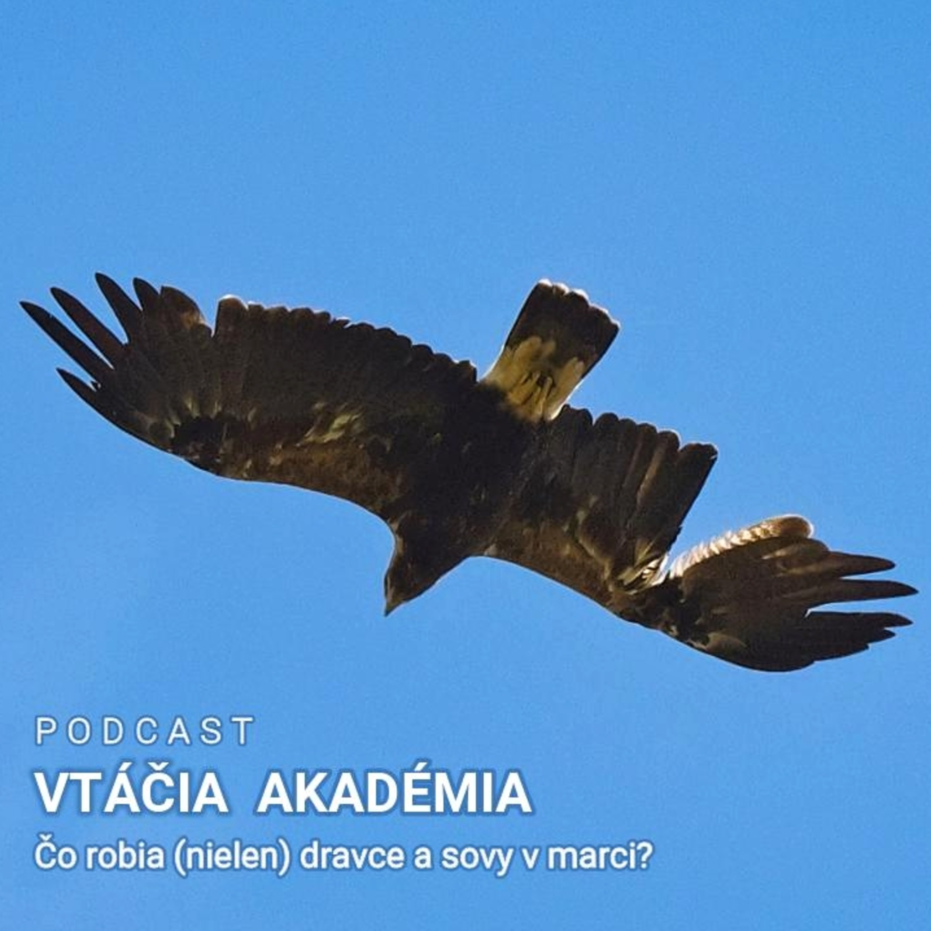 Čo je ťažšie? Kilo železa alebo kilo peria?