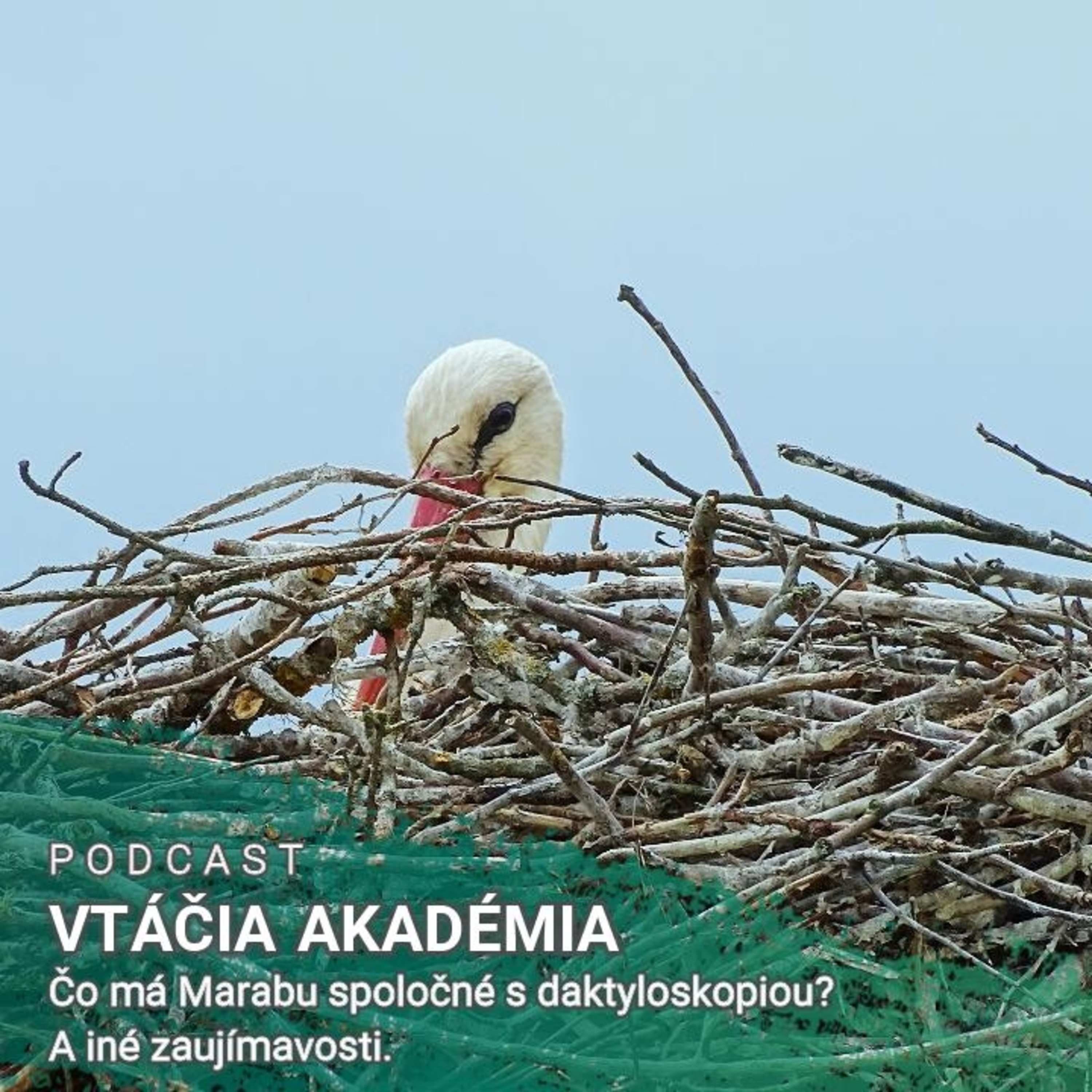 Čo má Marabu spoločné s daktyloskopiou? A iné zaujímavosti.