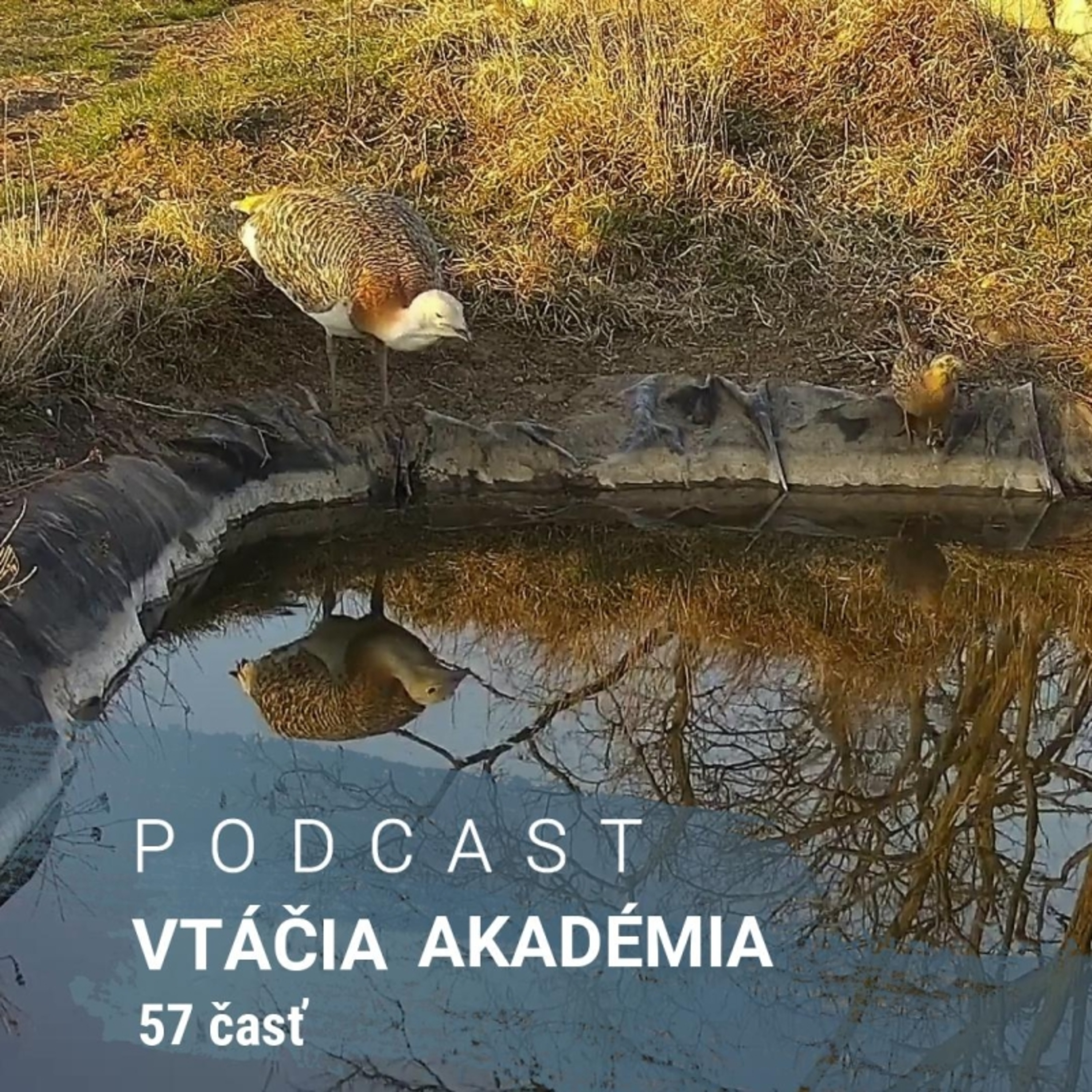 Ak ste ešte neboli na KUKAJ.SK, tak sa tam kuknite