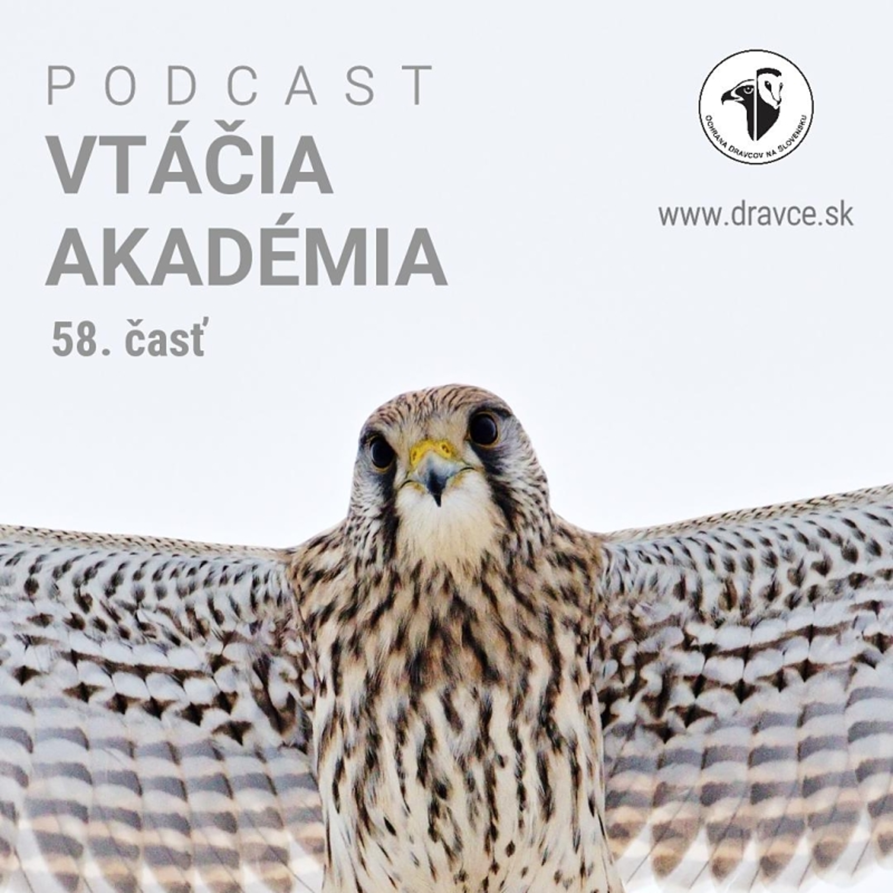 V lesoch aktuálne môžete vidieť vtáčieho hodinového manžela