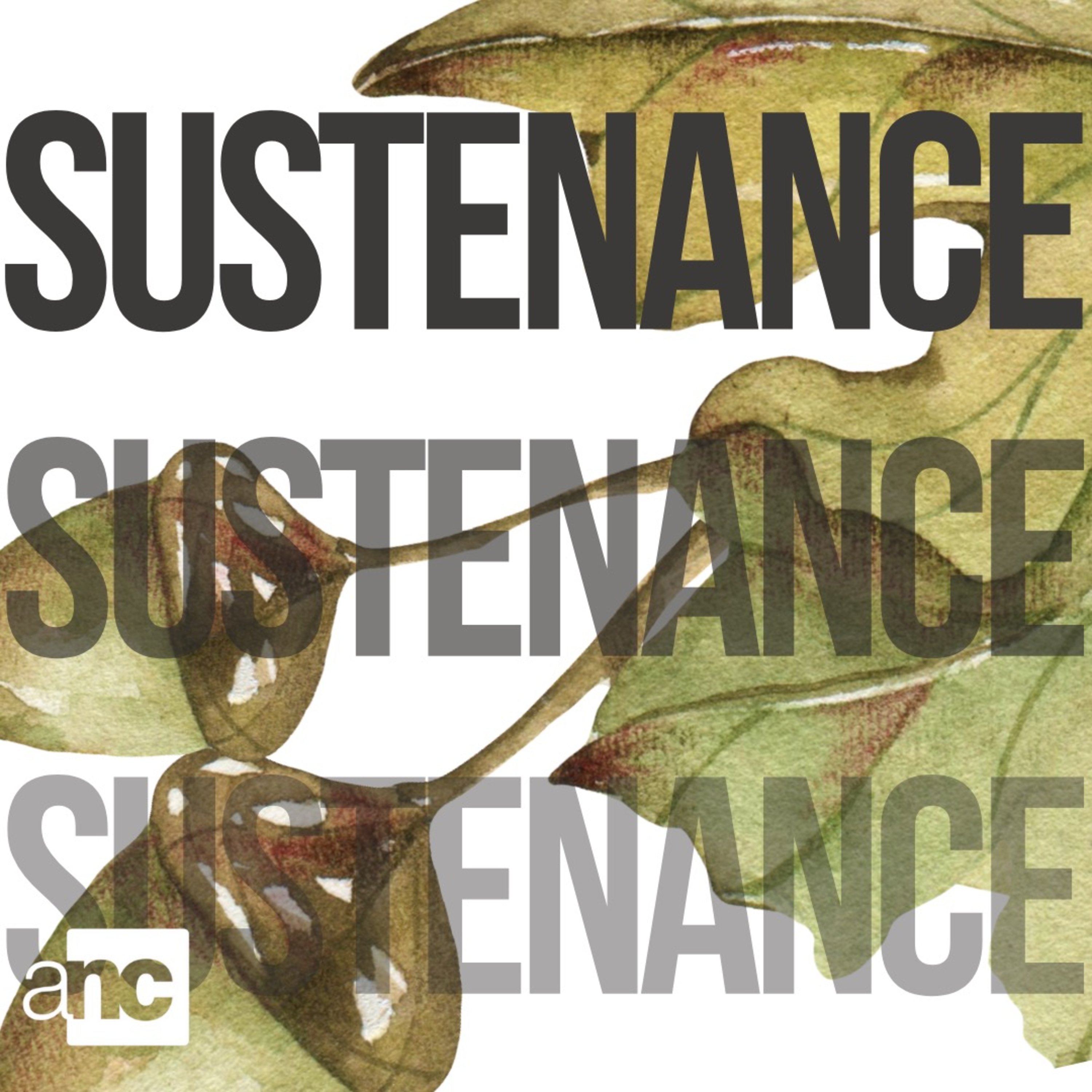 “Sustenance”. Part 1 || 08/18/2024 episode artwork