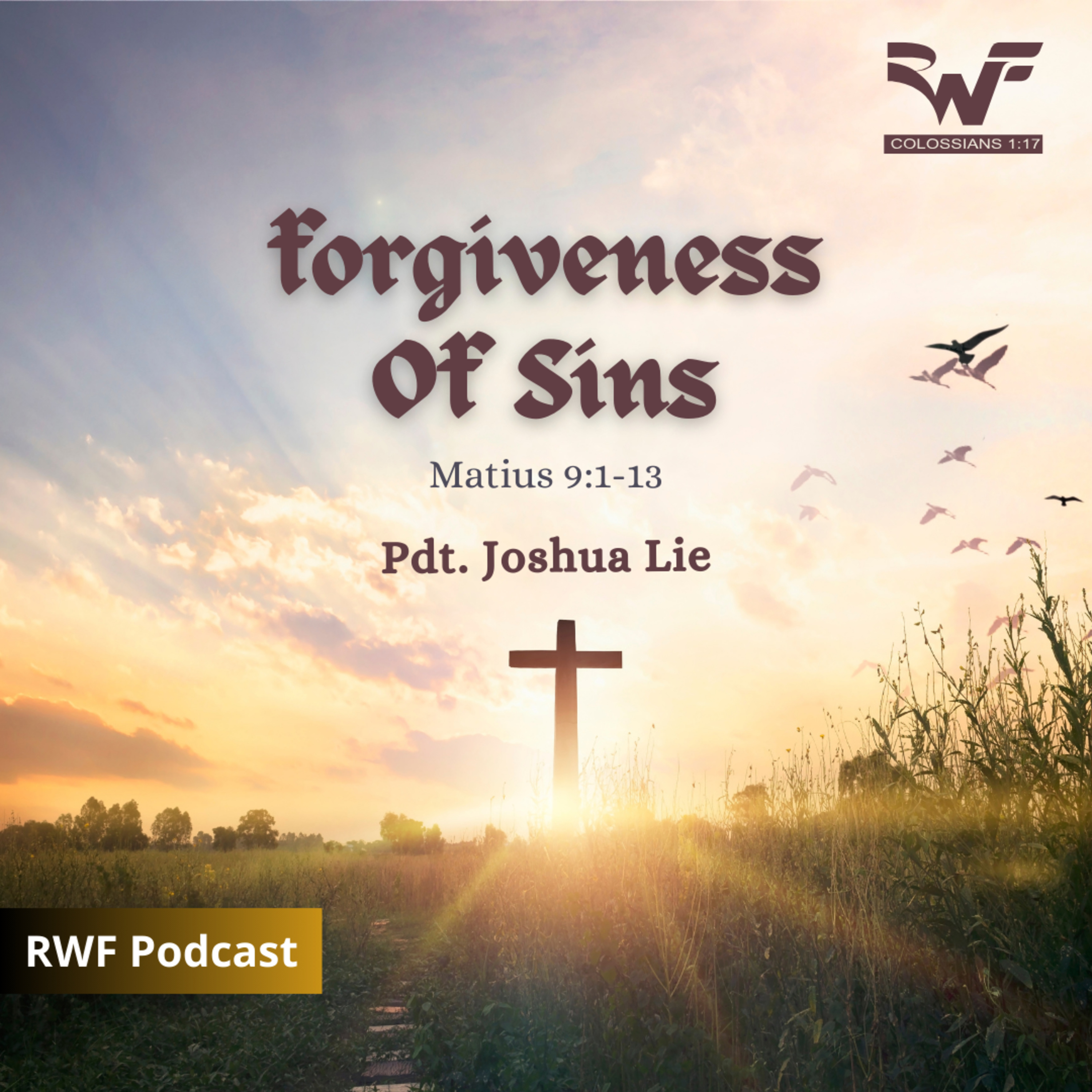 Forgiveness of Sins (Joshua Lie_ episode artwork