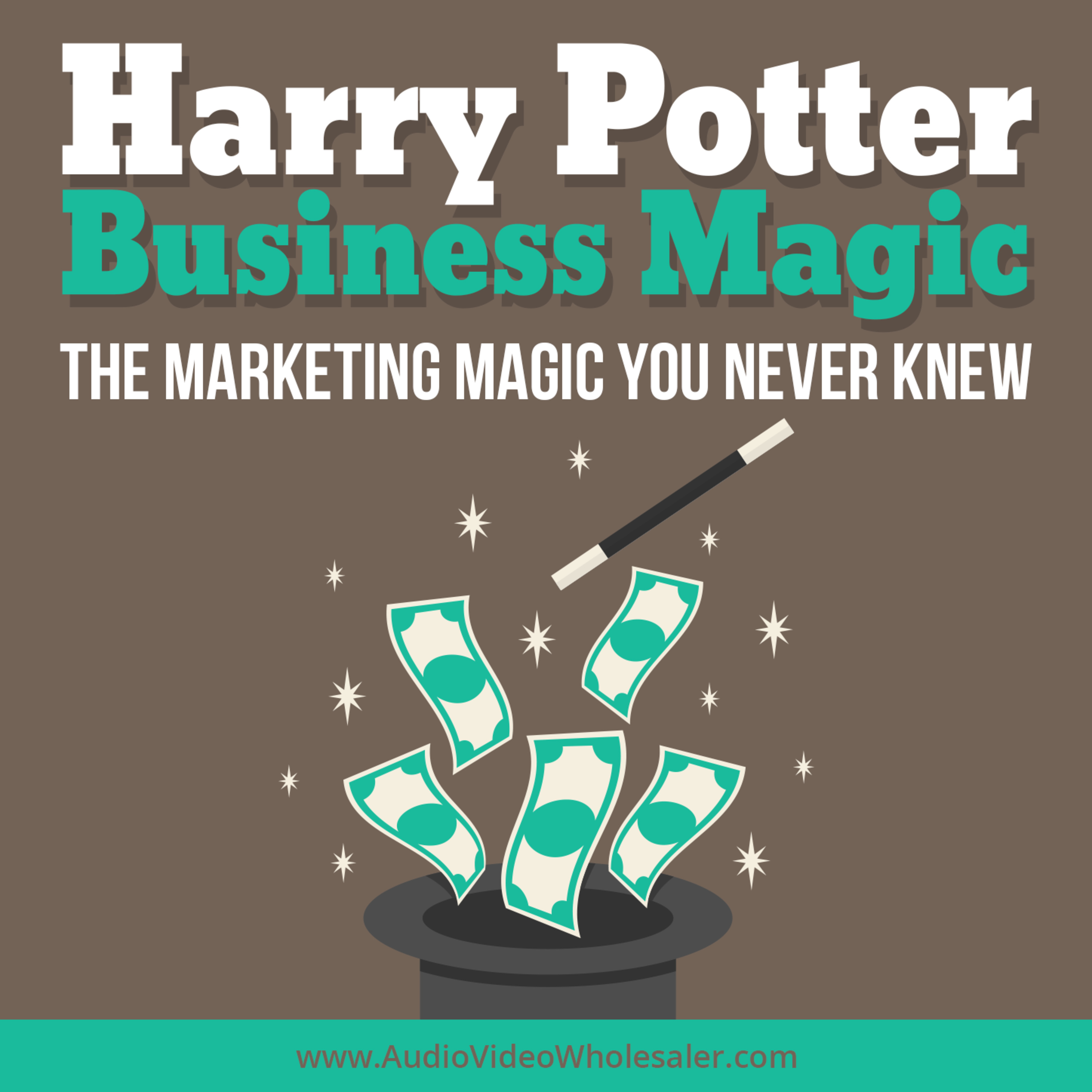 Harry Potter Business Magic episode artwork