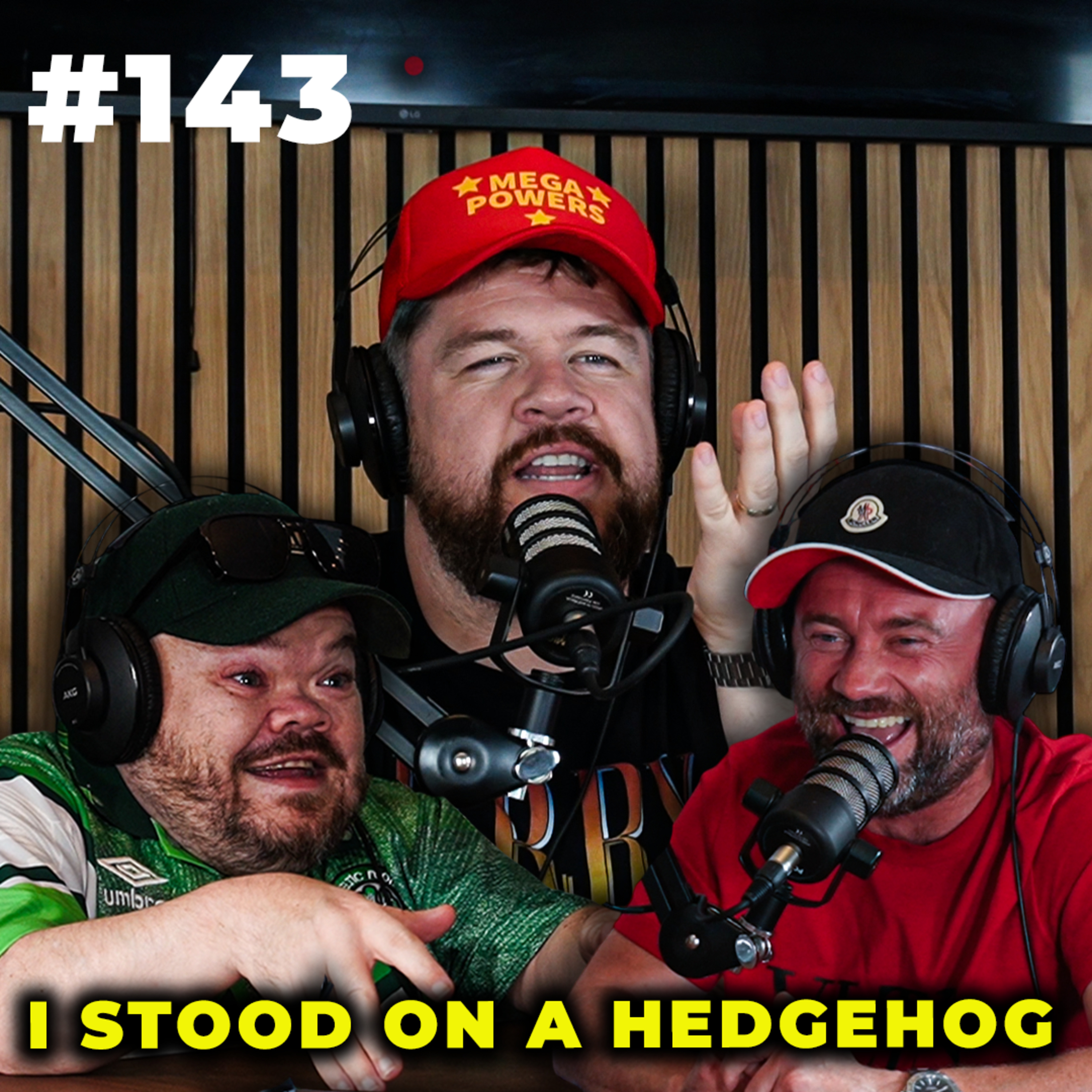 A Pint and Two Shots | I Stood On A Hedgehog