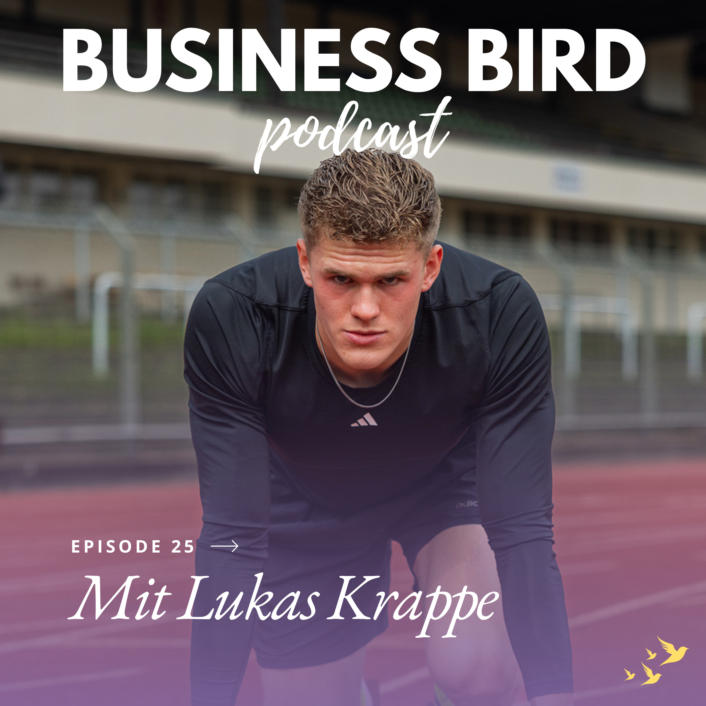 Business Bird - der Newcomer Podcast