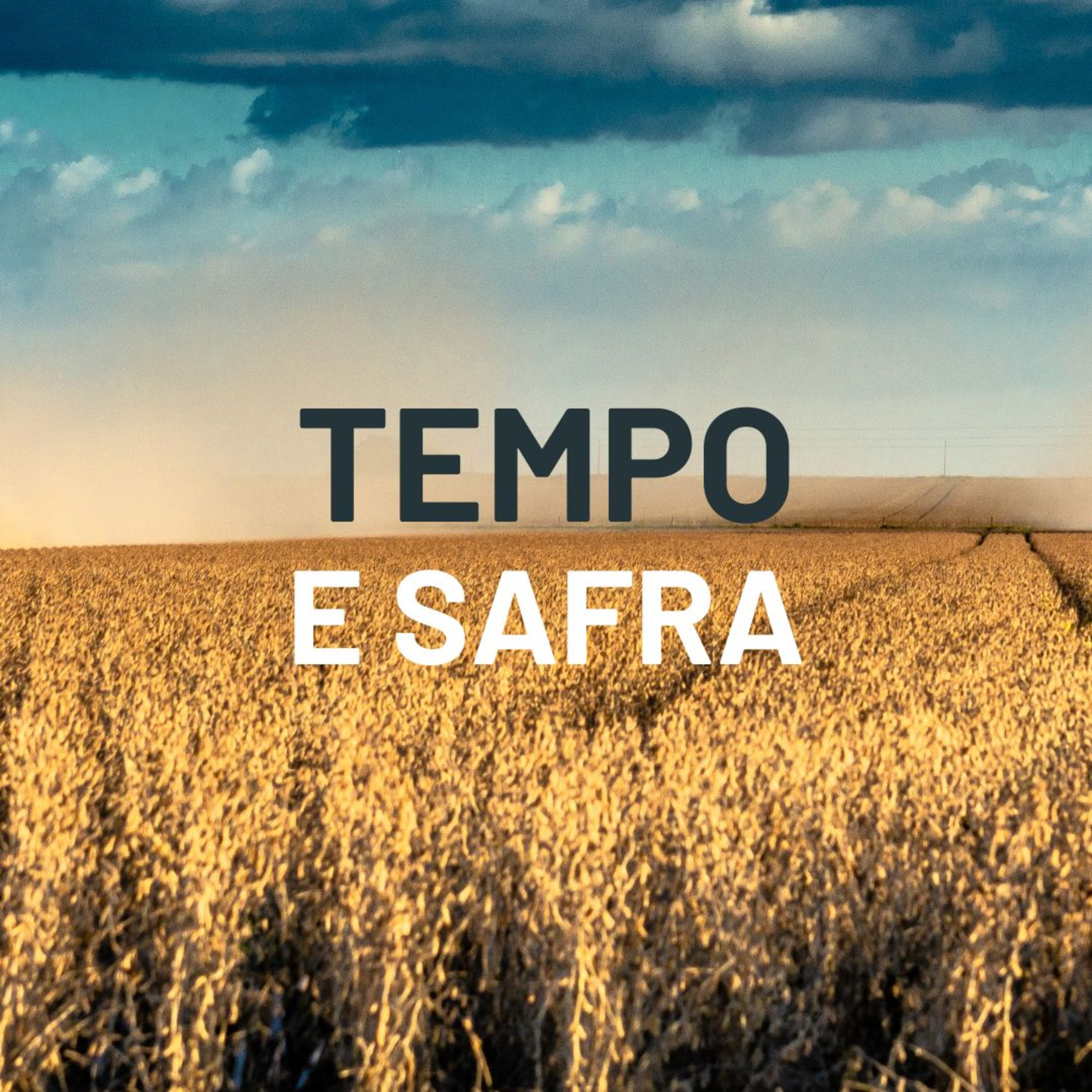 16 de outubro - Bate-papo Tempo e Safra