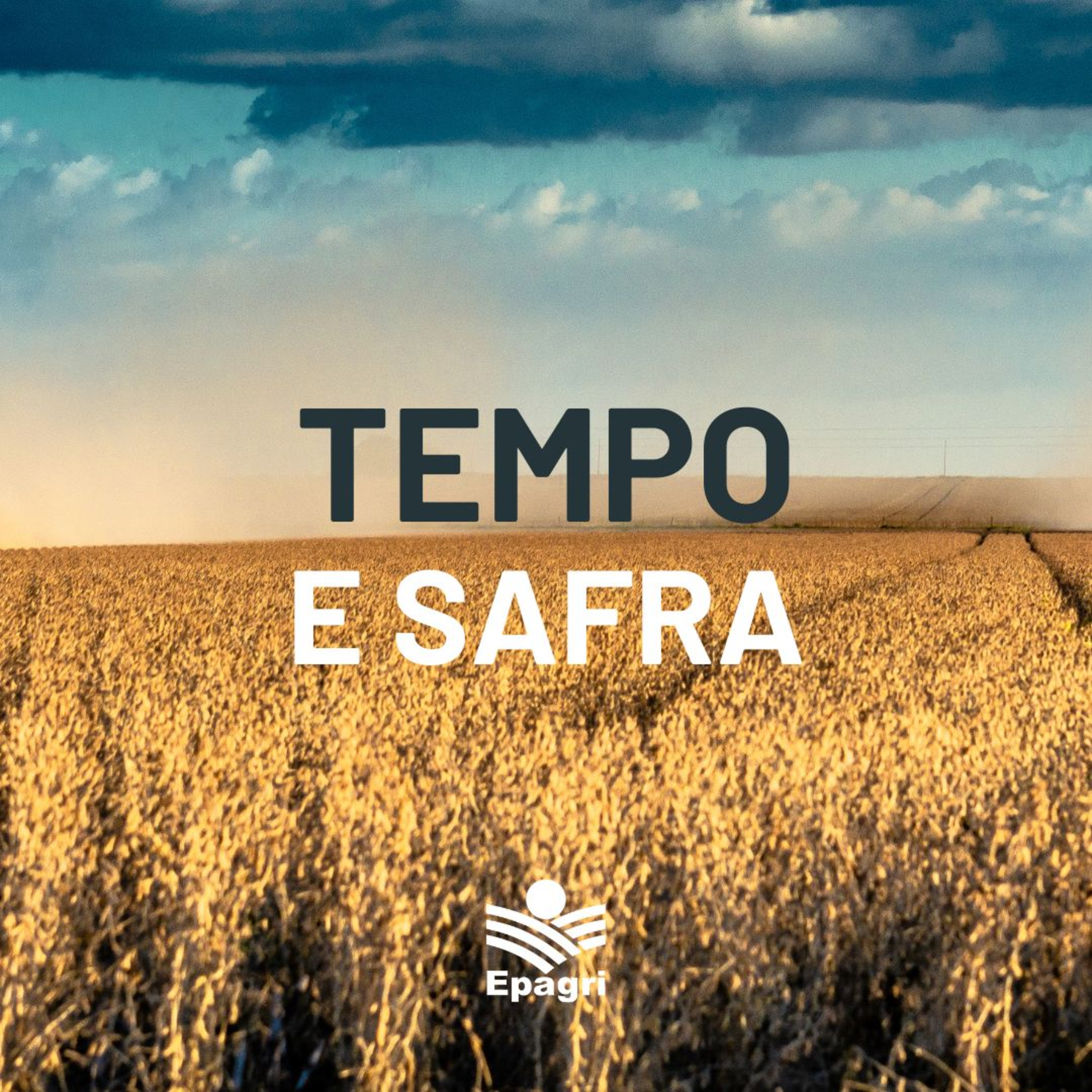 16 de abril - Bate-papo Tempo e Safra episode artwork
