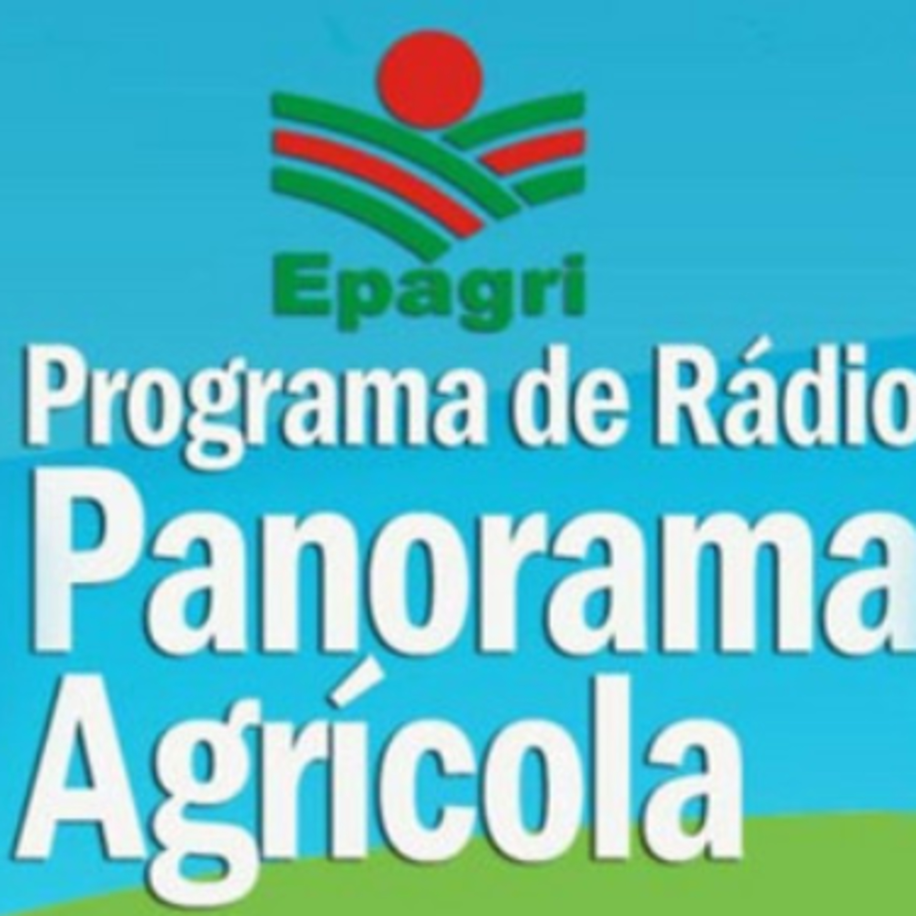Boletim Especial: Seminário estadual comemora os 50 anos de pesquisa agropecuária na Epagri episode artwork