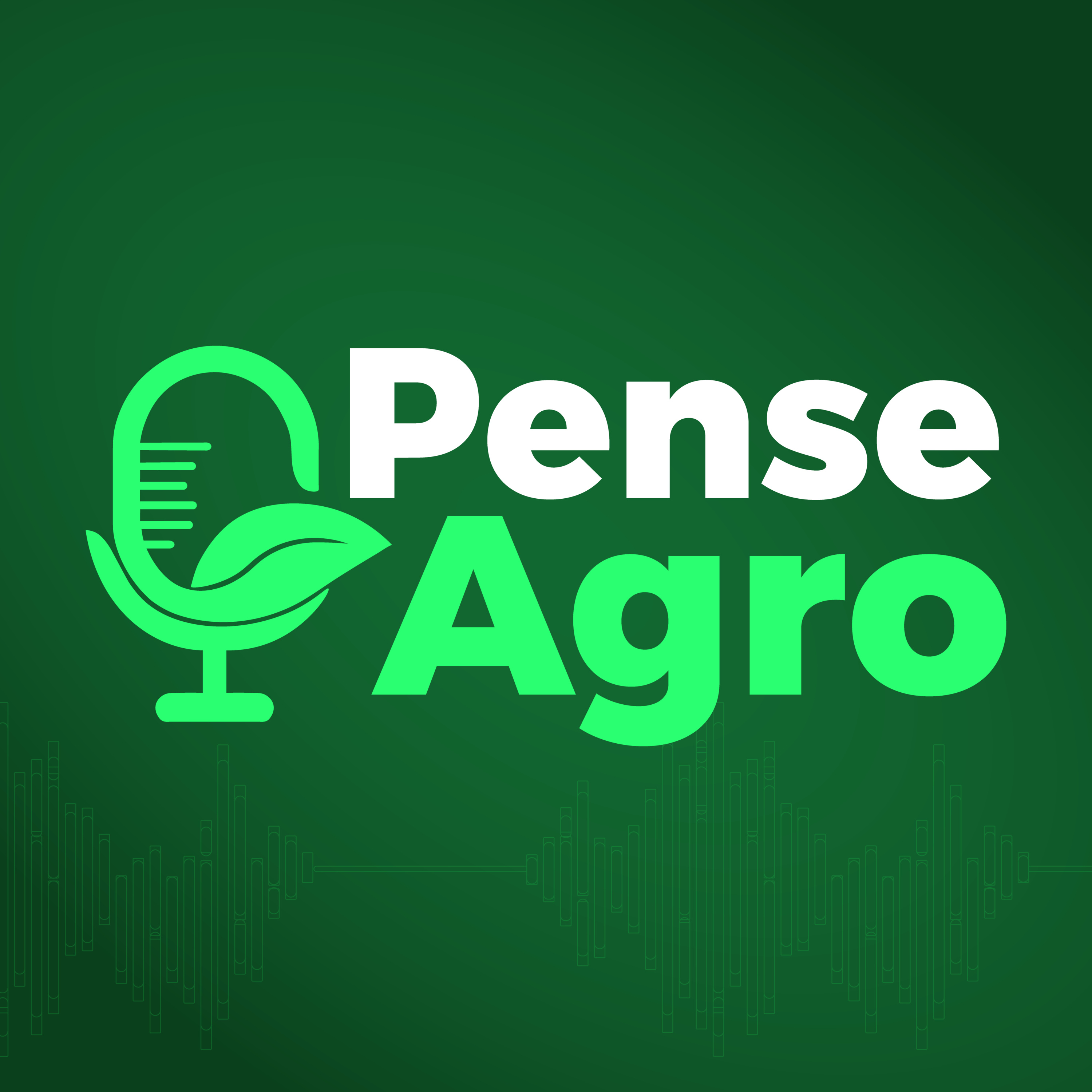 Pense Agro: Reunião da Câmara Setorial de Grãos episode artwork