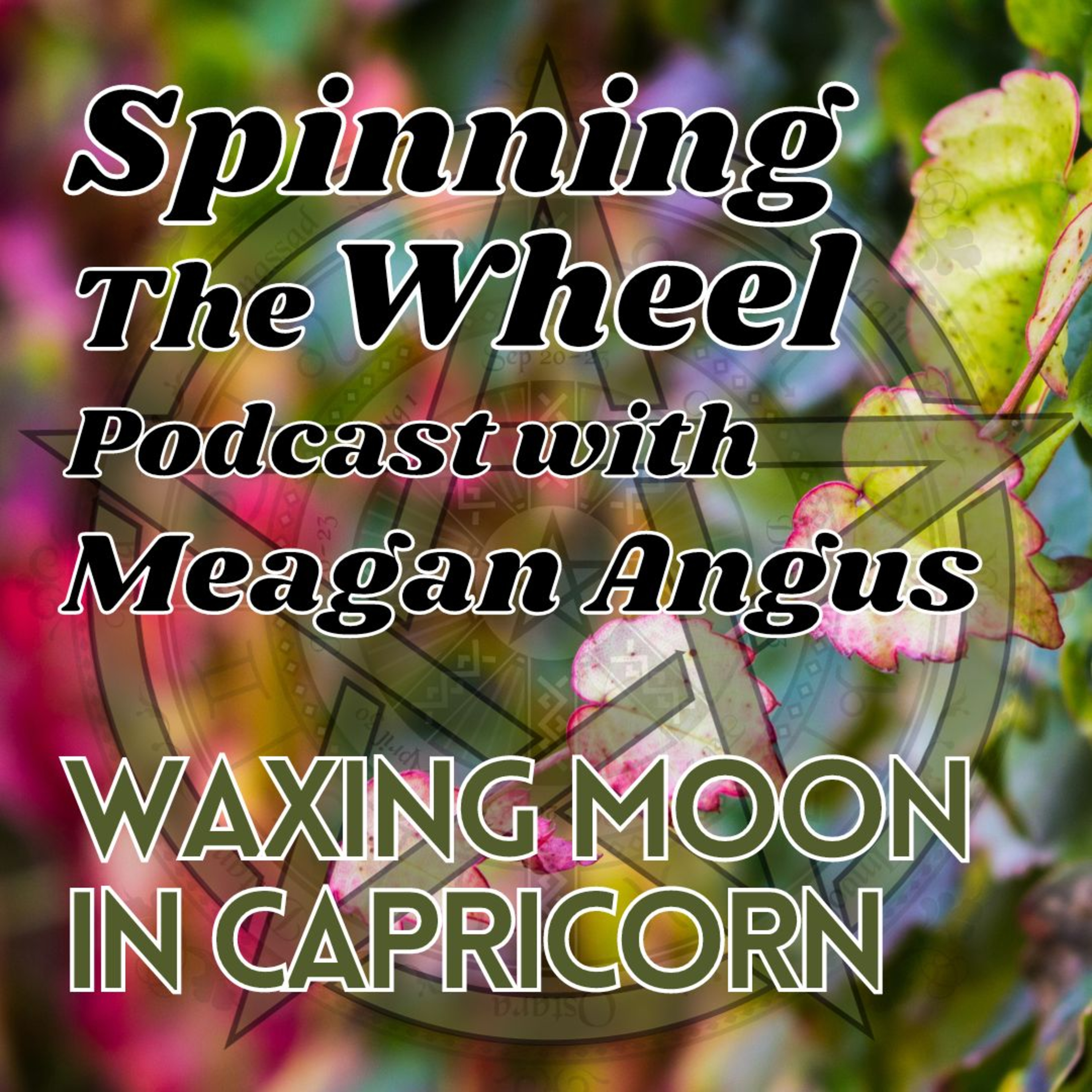 Mabon Season Waxing Moon in Capricorn Lunar Week 29 episode artwork