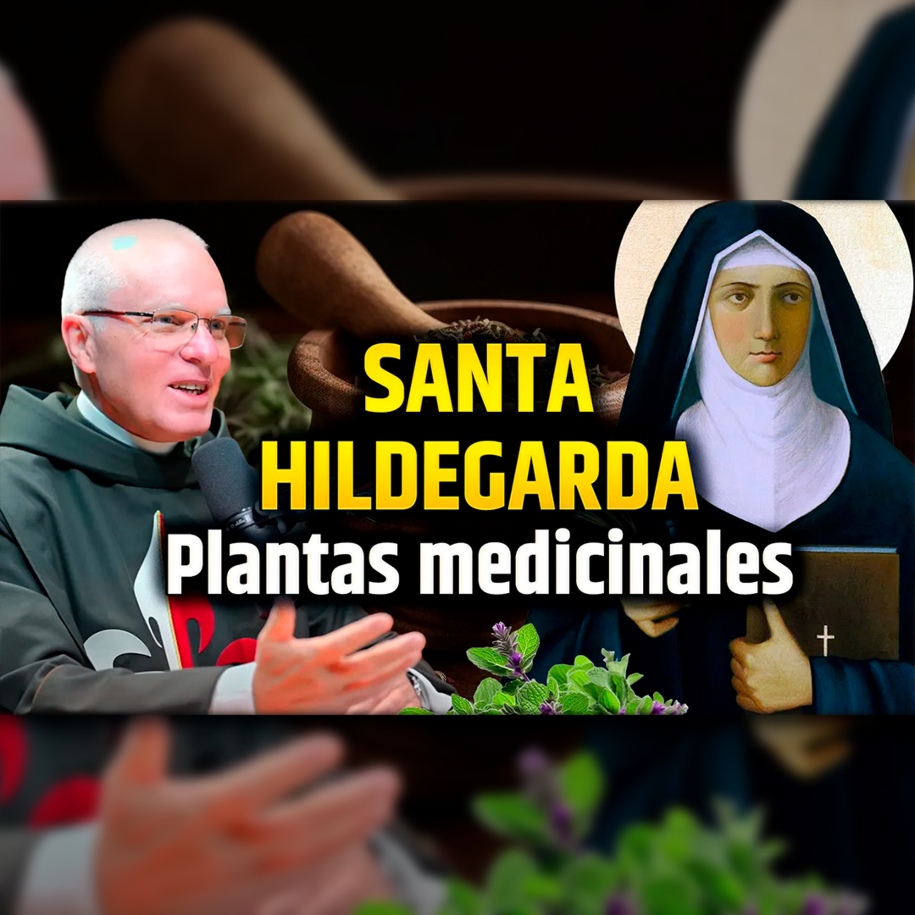 🎙️ Santa Hildegarda y las plantas medicinales - Episodio 116 #podcast