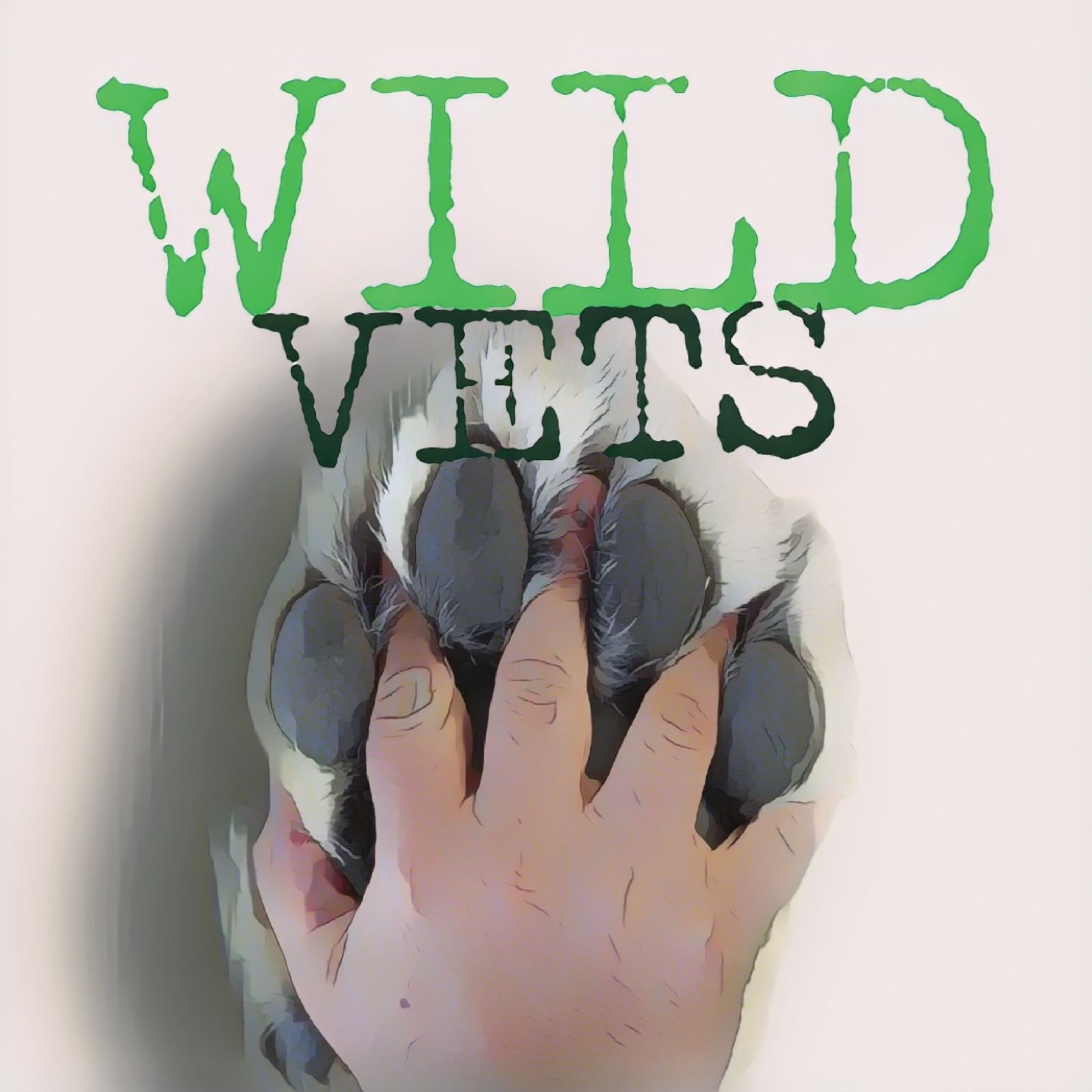 Travelling Vet | DiskuTIERärztinnen | Wild Vets