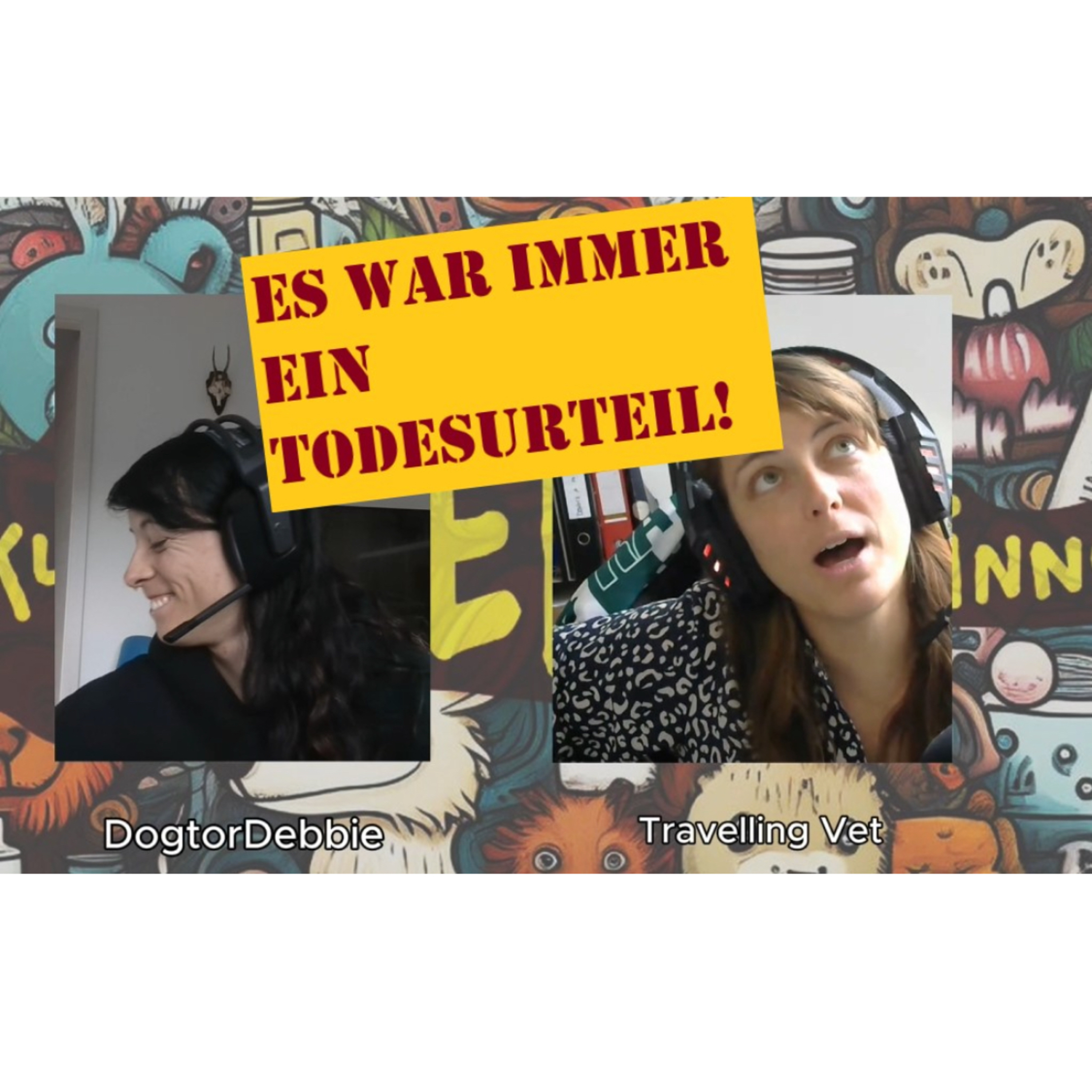 Travelling Vet | DiskuTIERärztinnen | Wild Vets