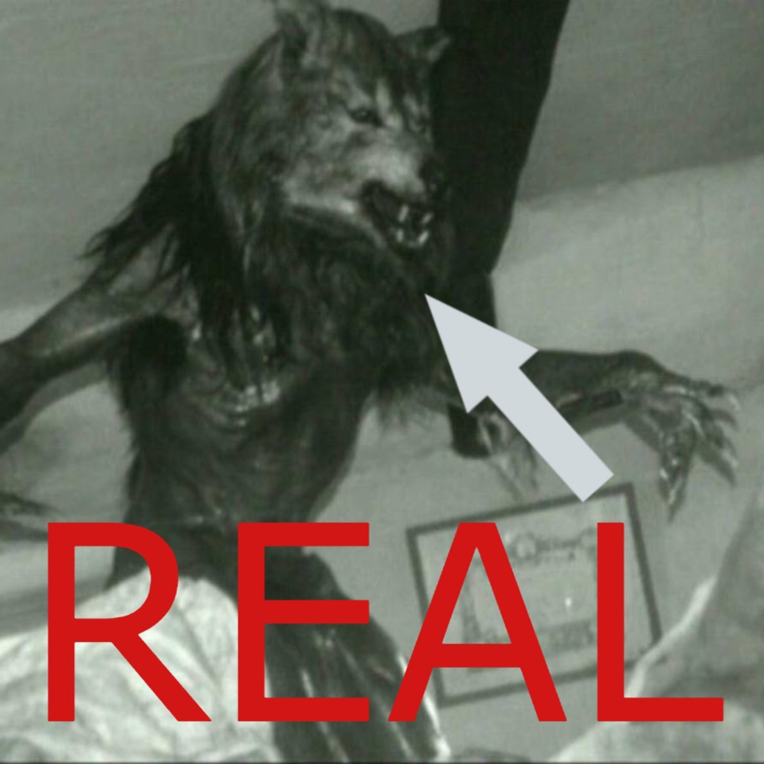 Michigan Dogman encounter - Emerson Green interview