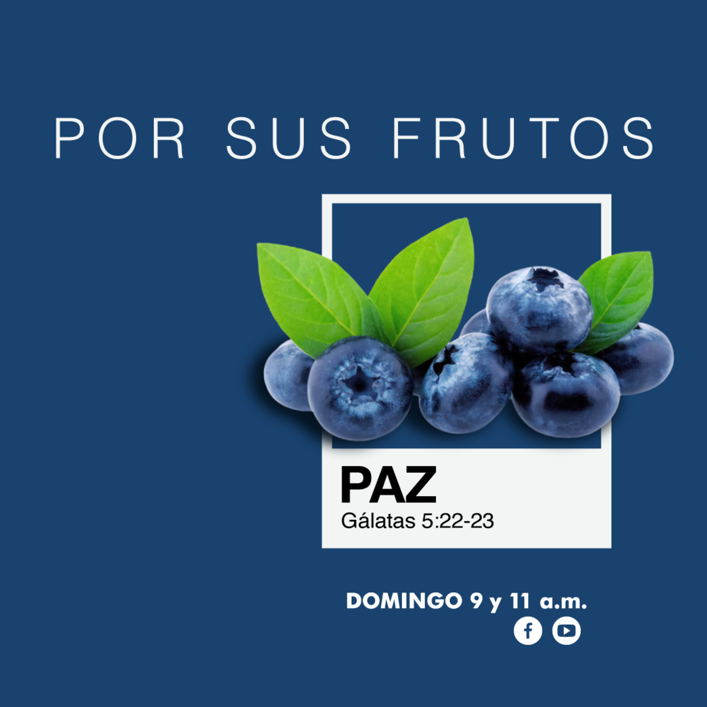 POR SUS FRUTOS - Paz┃Mensaje 20/07/2025┃Ps Jorge Giacometti episode artwork