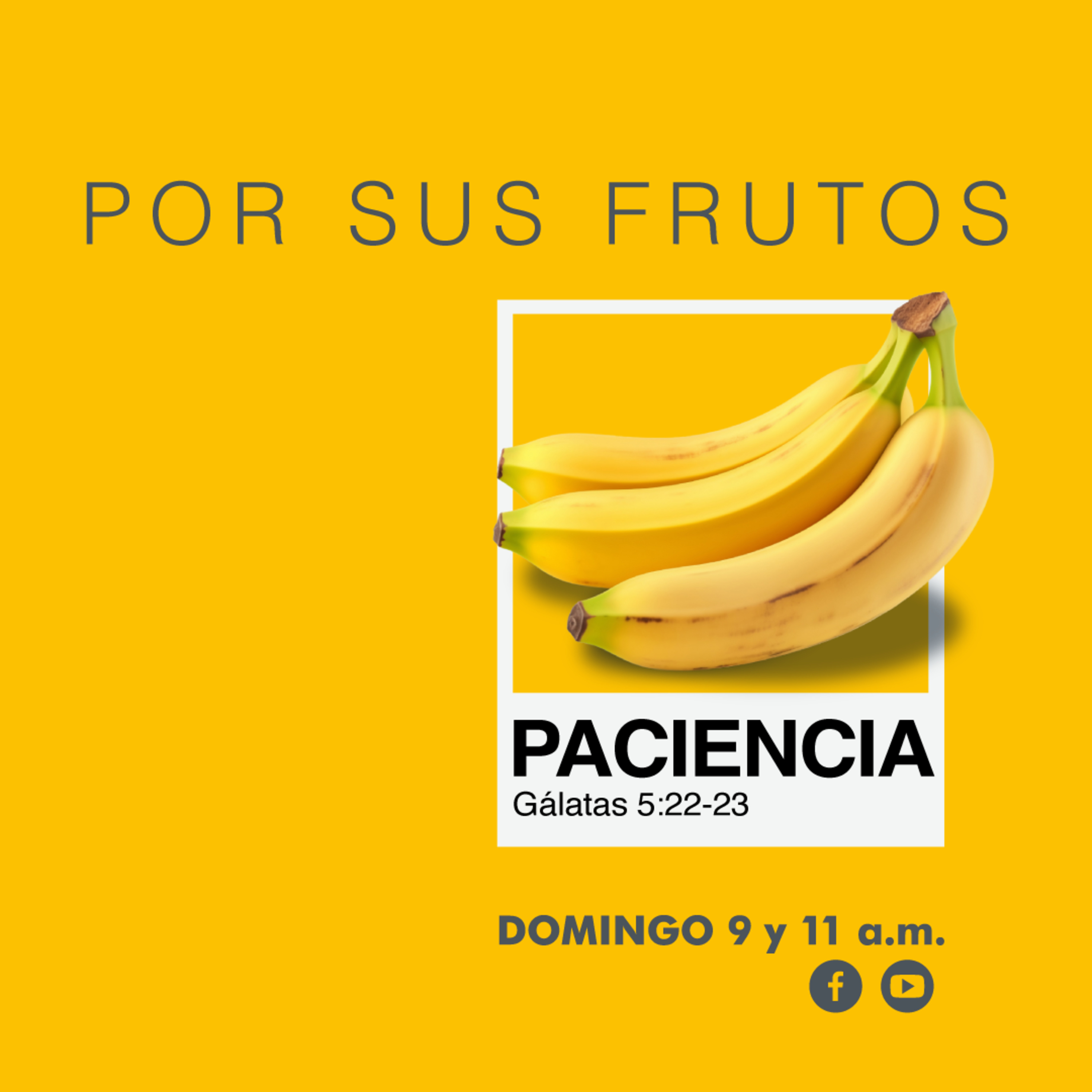 POR SUS FRUTOS - Paciencia┃Mensaje 27/07/2025┃Ps Daniel González episode artwork