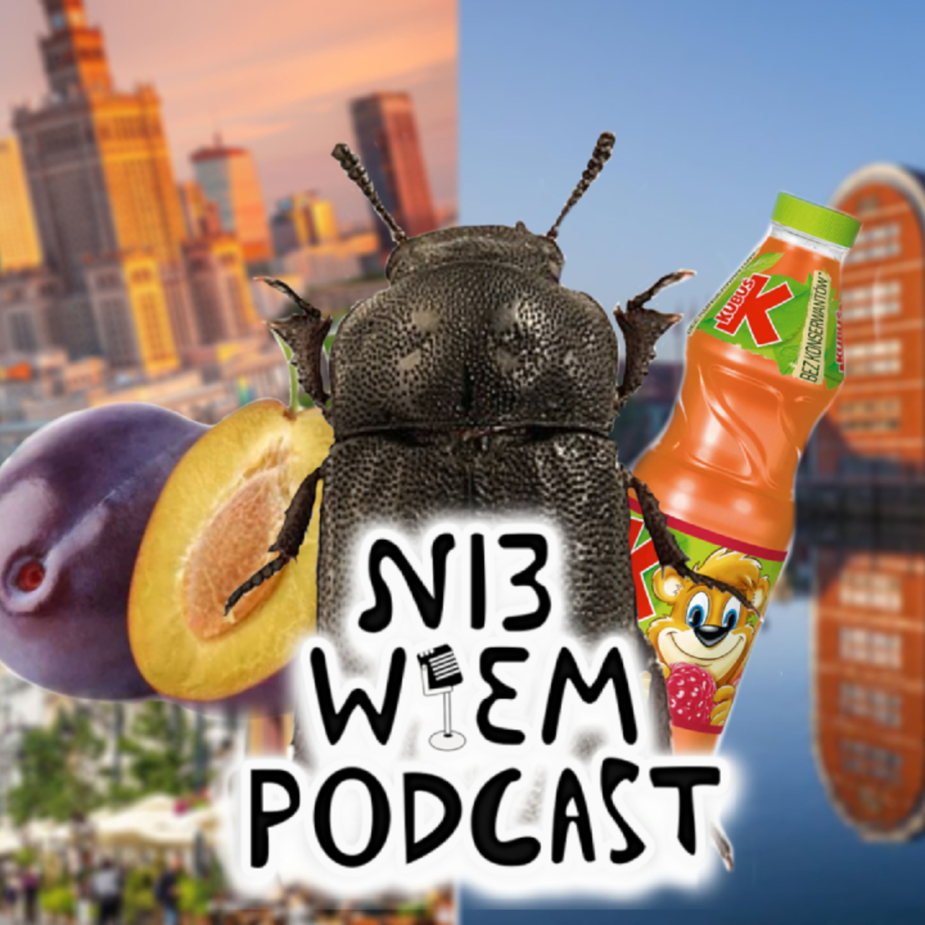 Ni3 Wiem Podcast (167) - Mrzygłodek mrzygłodek znalazłem go na plaży… ft Inkoguto  episode artwork