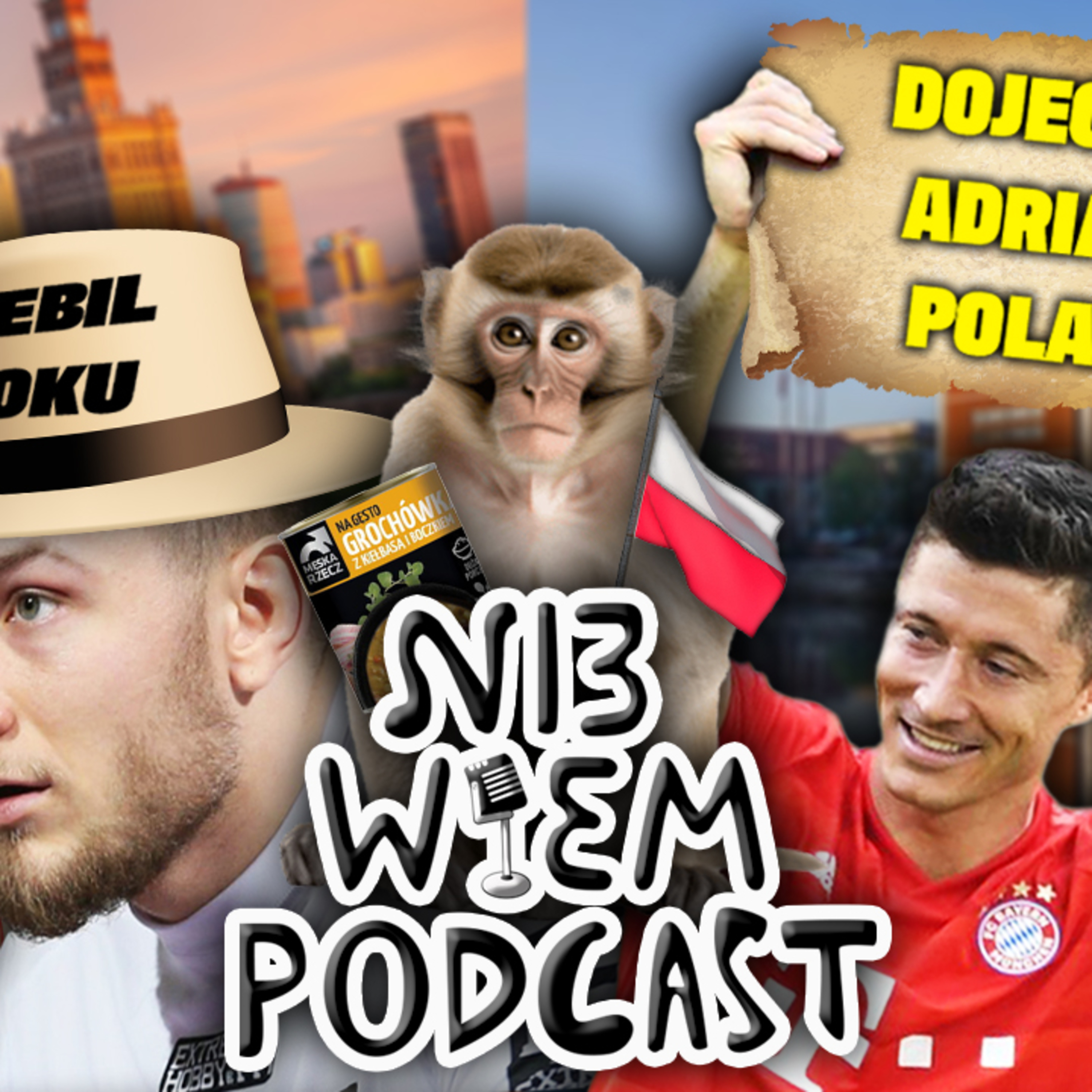 Ni3 Wiem Podcast (178) - Lewe AI, comeback Pokolenia, lotnicze ewolucje mają różne zakończenia episode artwork