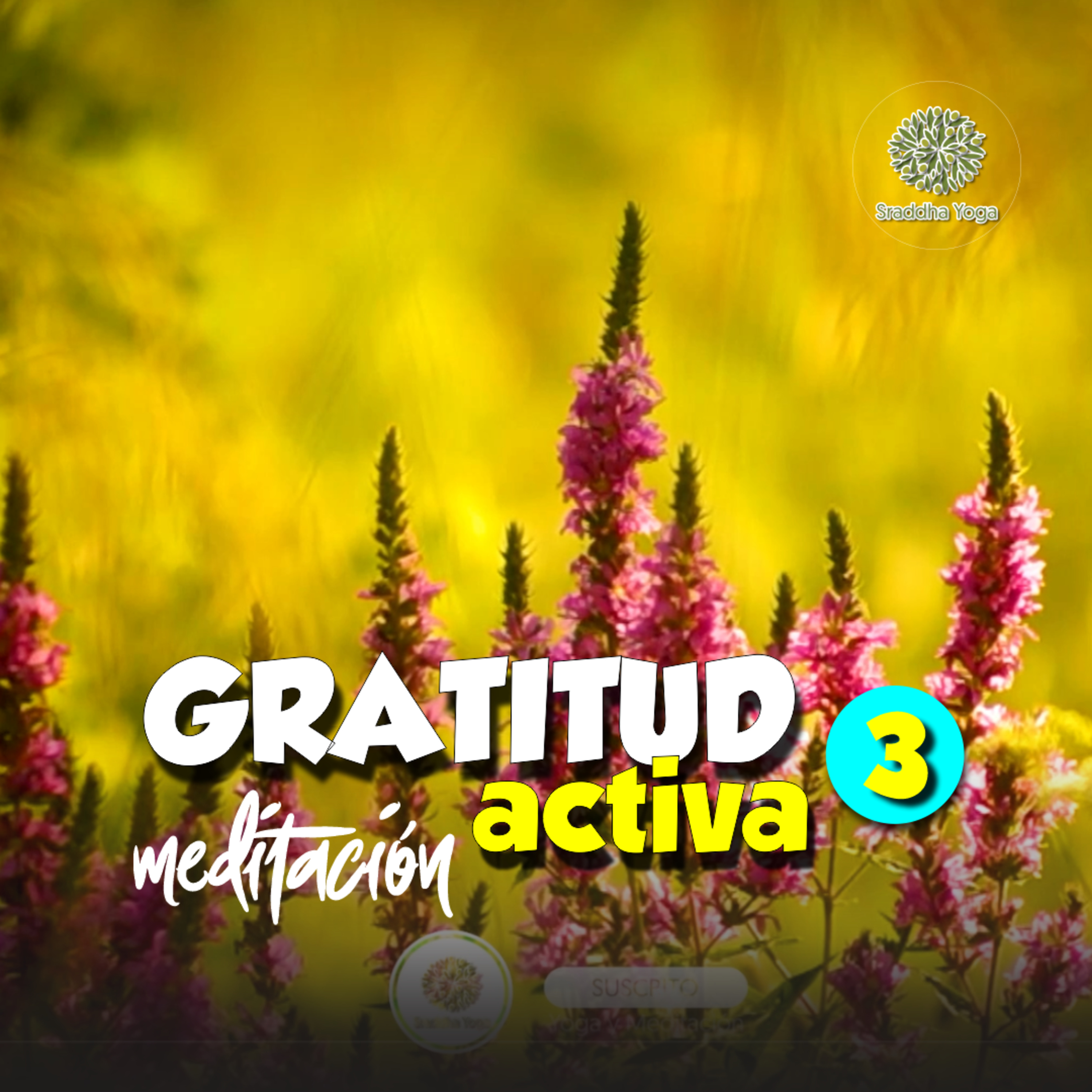 🎆 Gratitud Activa | Sraddha Meditación con Aurora. 03 episode artwork