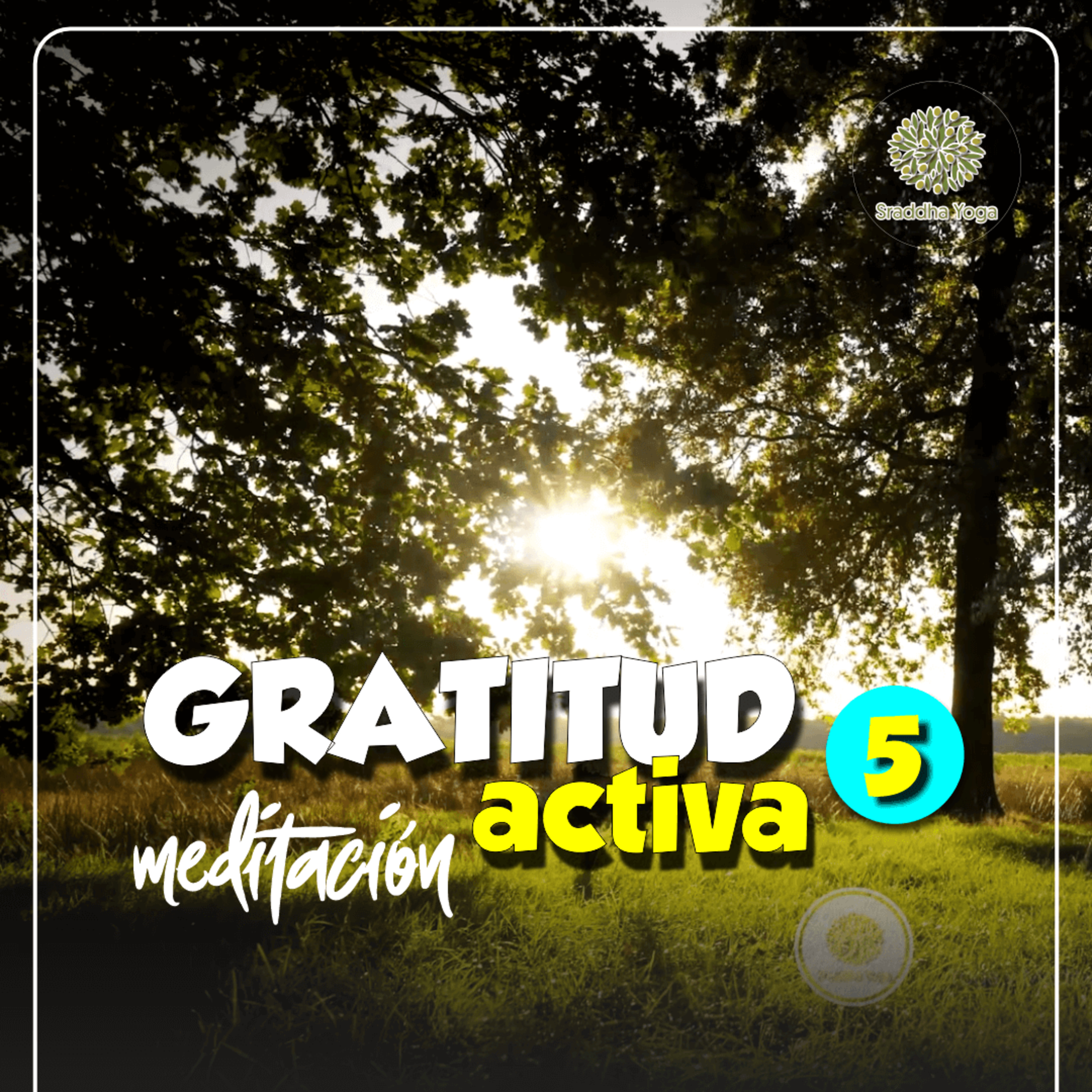 🍇 Gratitud Activa | Sraddha Meditación con Aurora. 05 episode artwork
