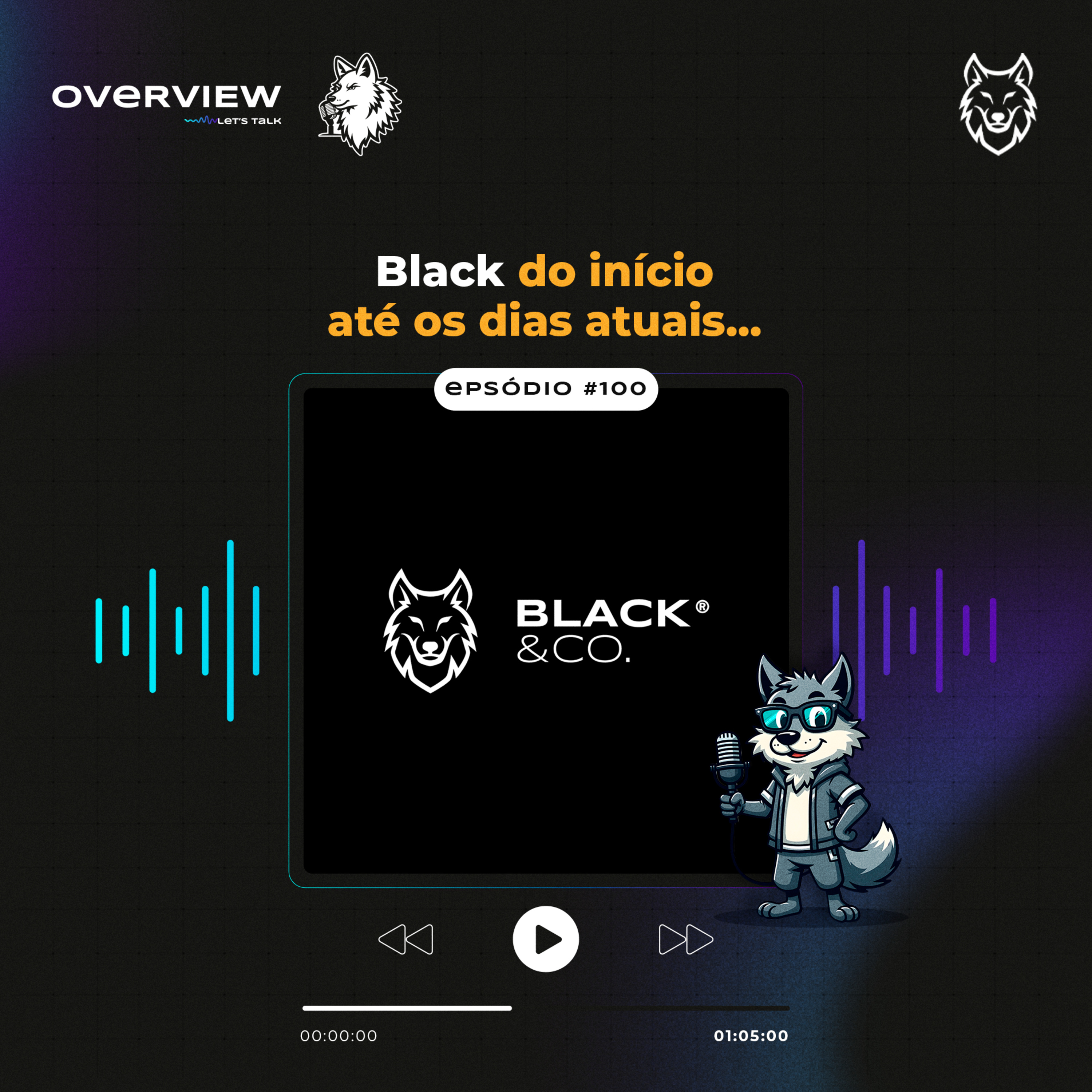 OVERVIEW 100 - Black do início até os dias atuais... episode artwork