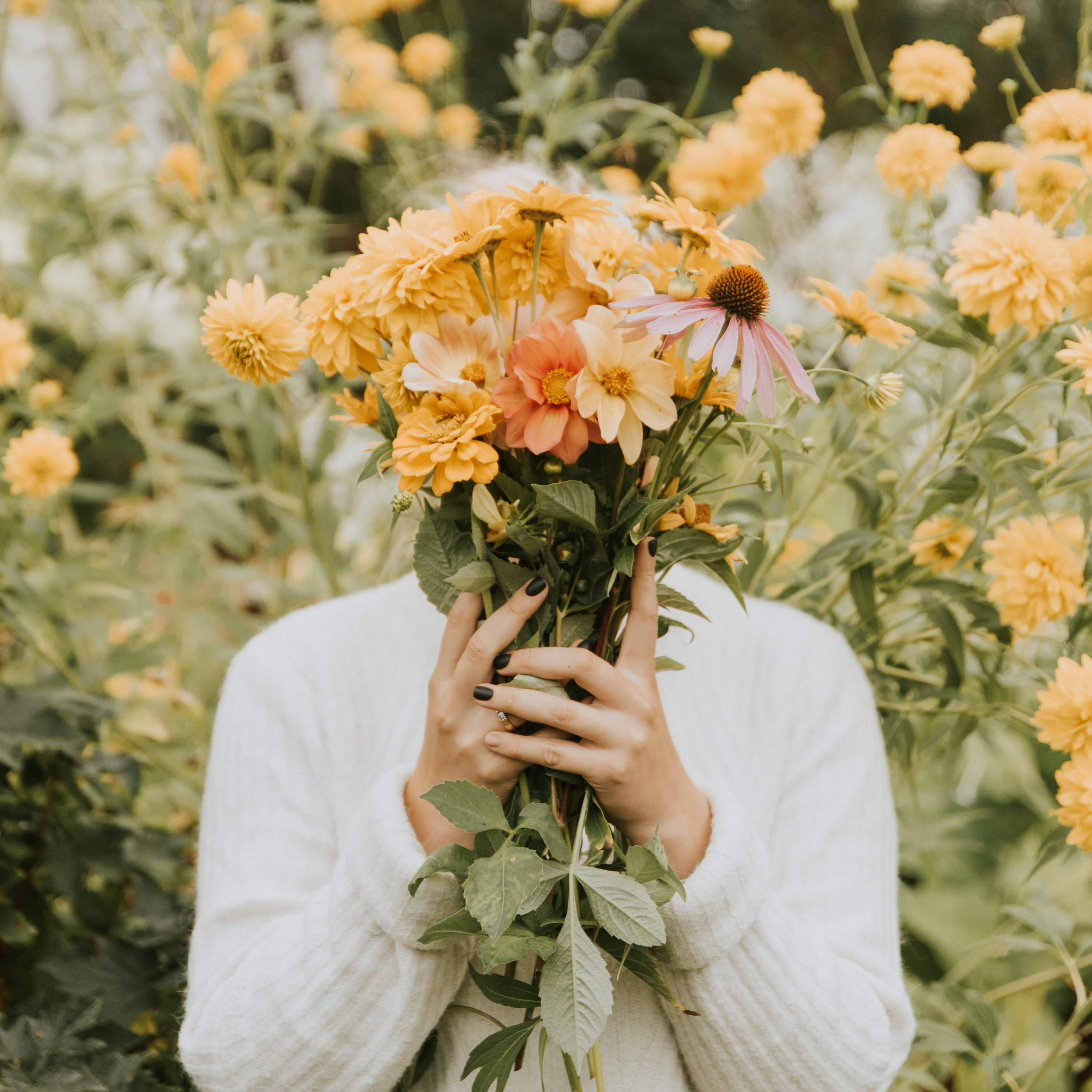 Healing Arts Collective