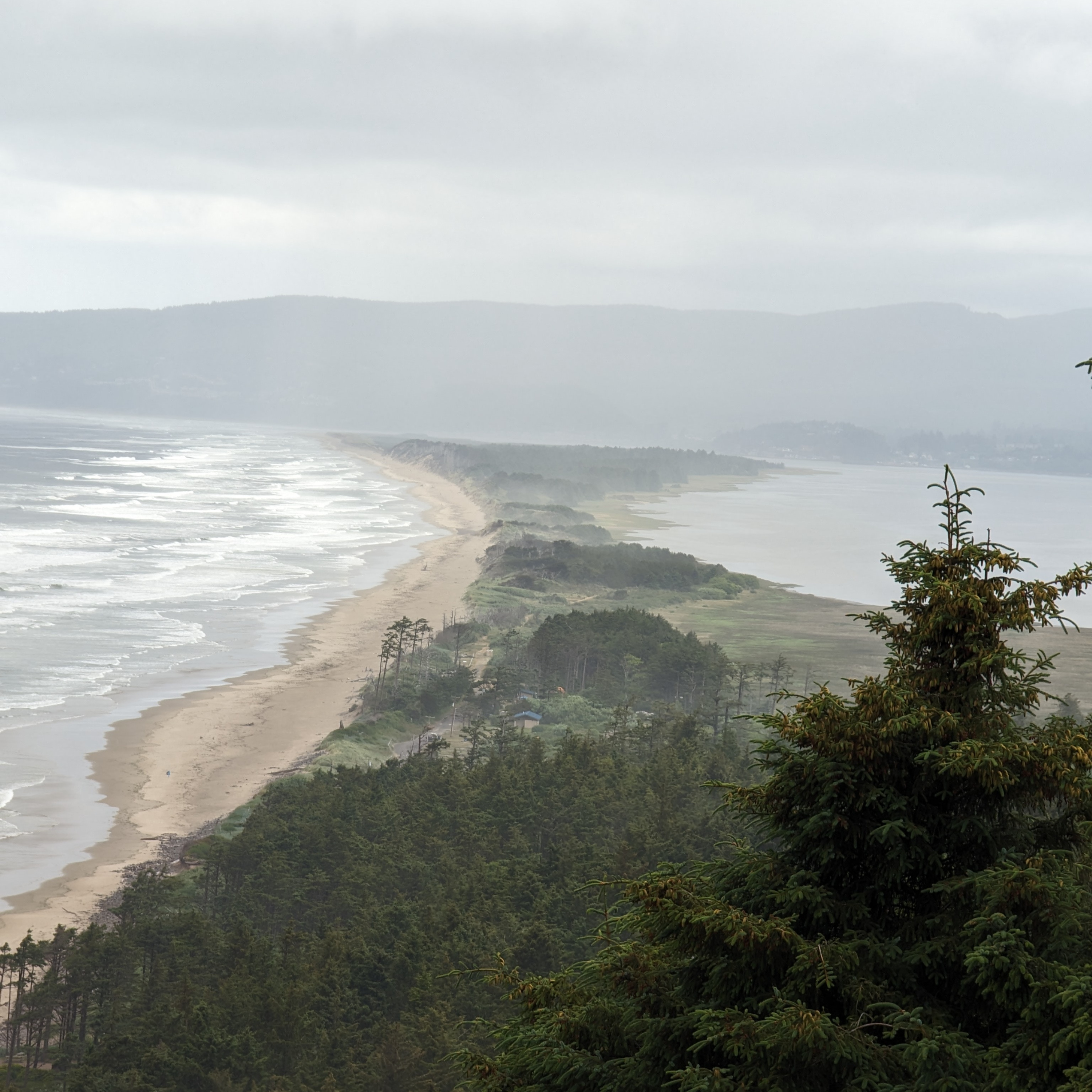 Healing Arts Collective