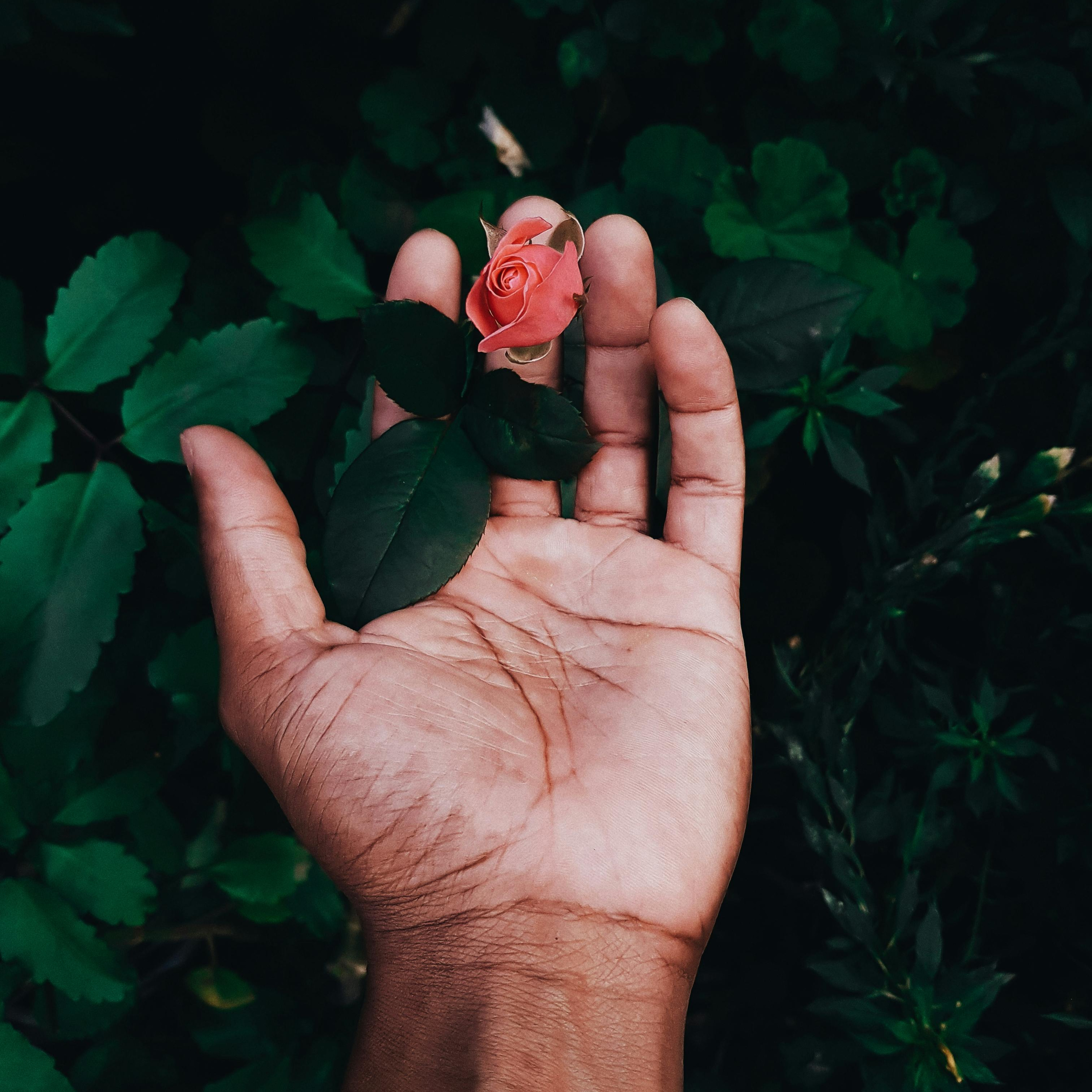 Healing Arts Collective