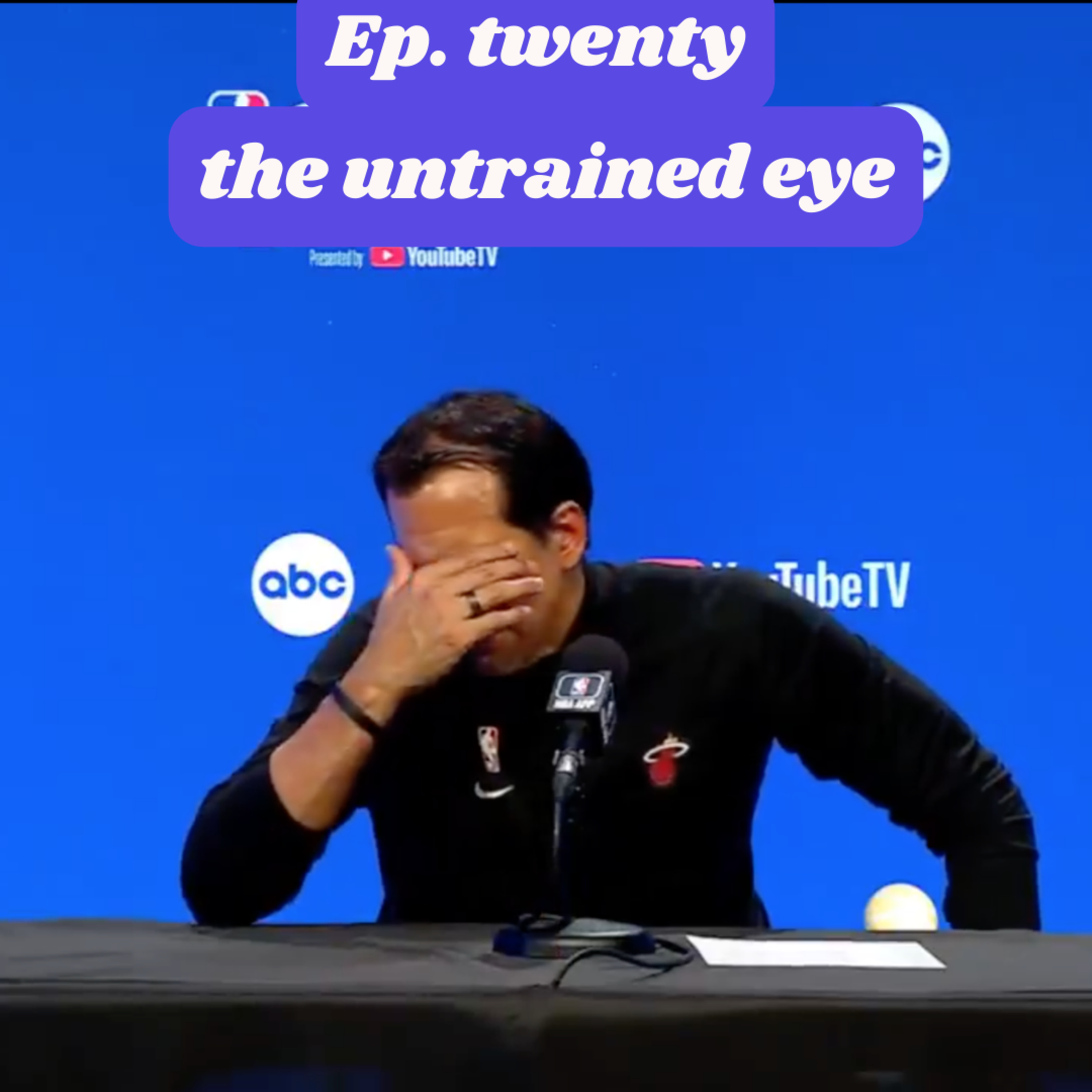 Episode twenty: the untrained eye episode artwork