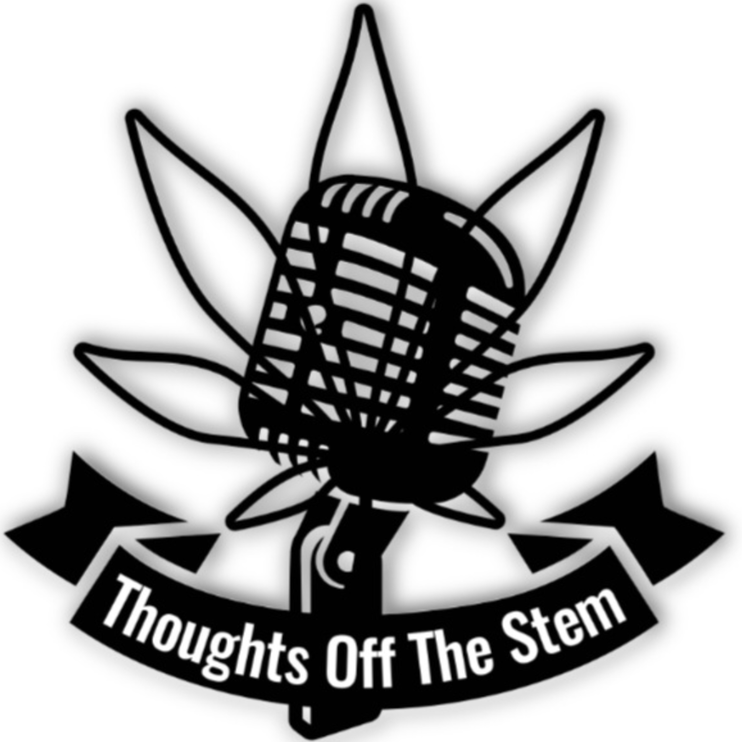 Empowering Comedy: Lynn Harris on Bro Culture and GOLD Comedy