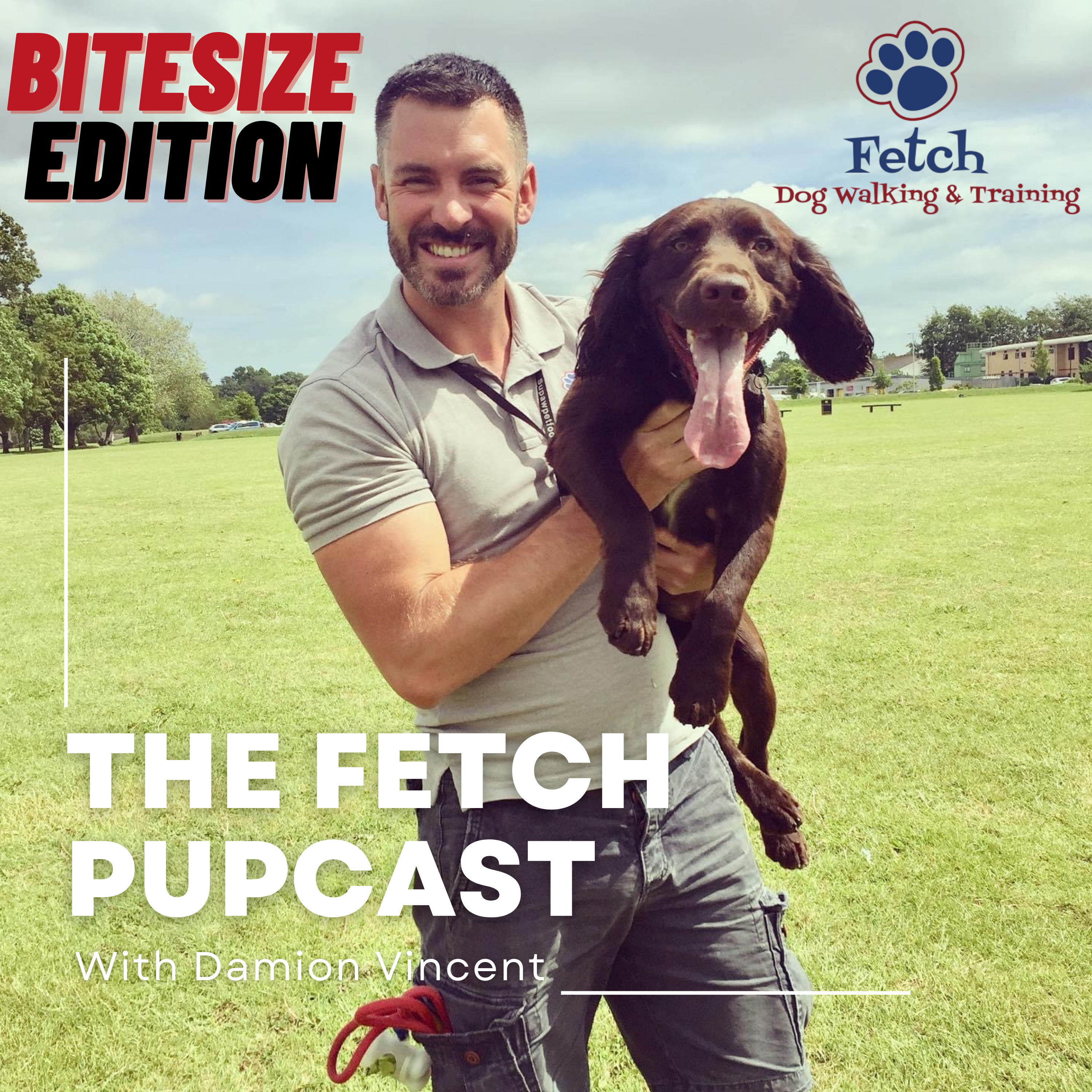 The Fetch Pupcast