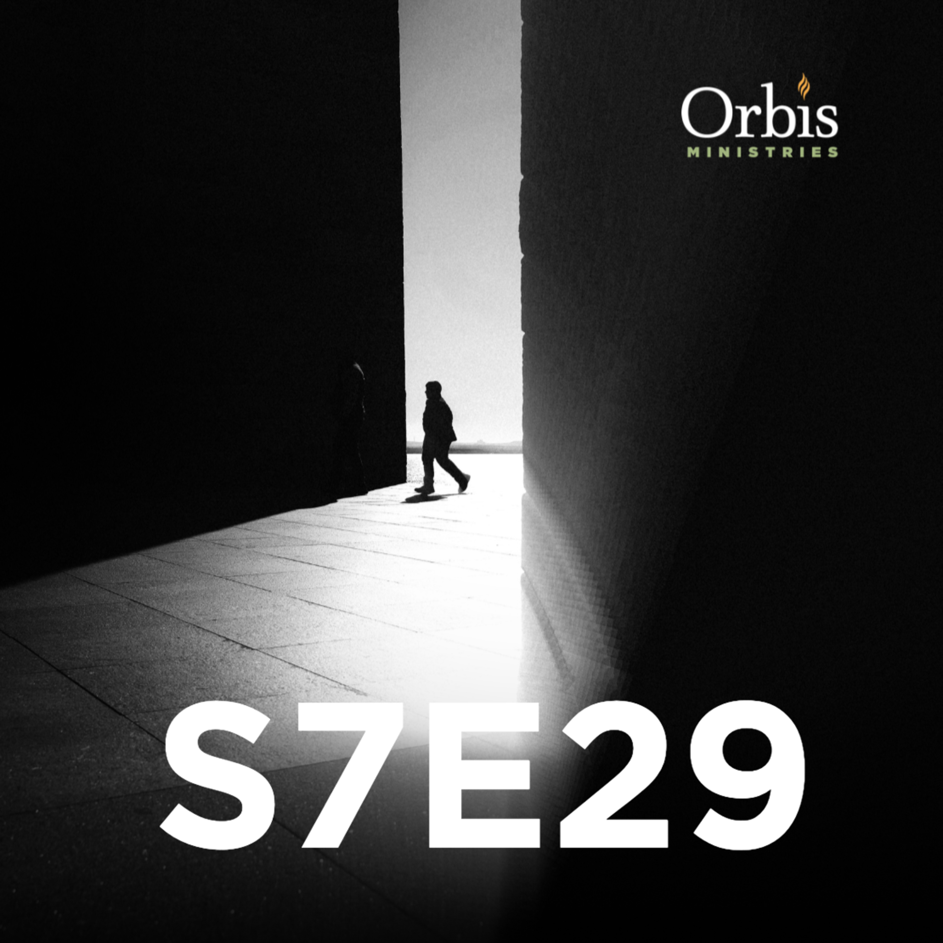 S7E29 - The Dark Side of Leadership, Part 2: Compulsive & Passive-Aggressive Leaders. With Ken Fish & Richard J. Roberts  episode artwork