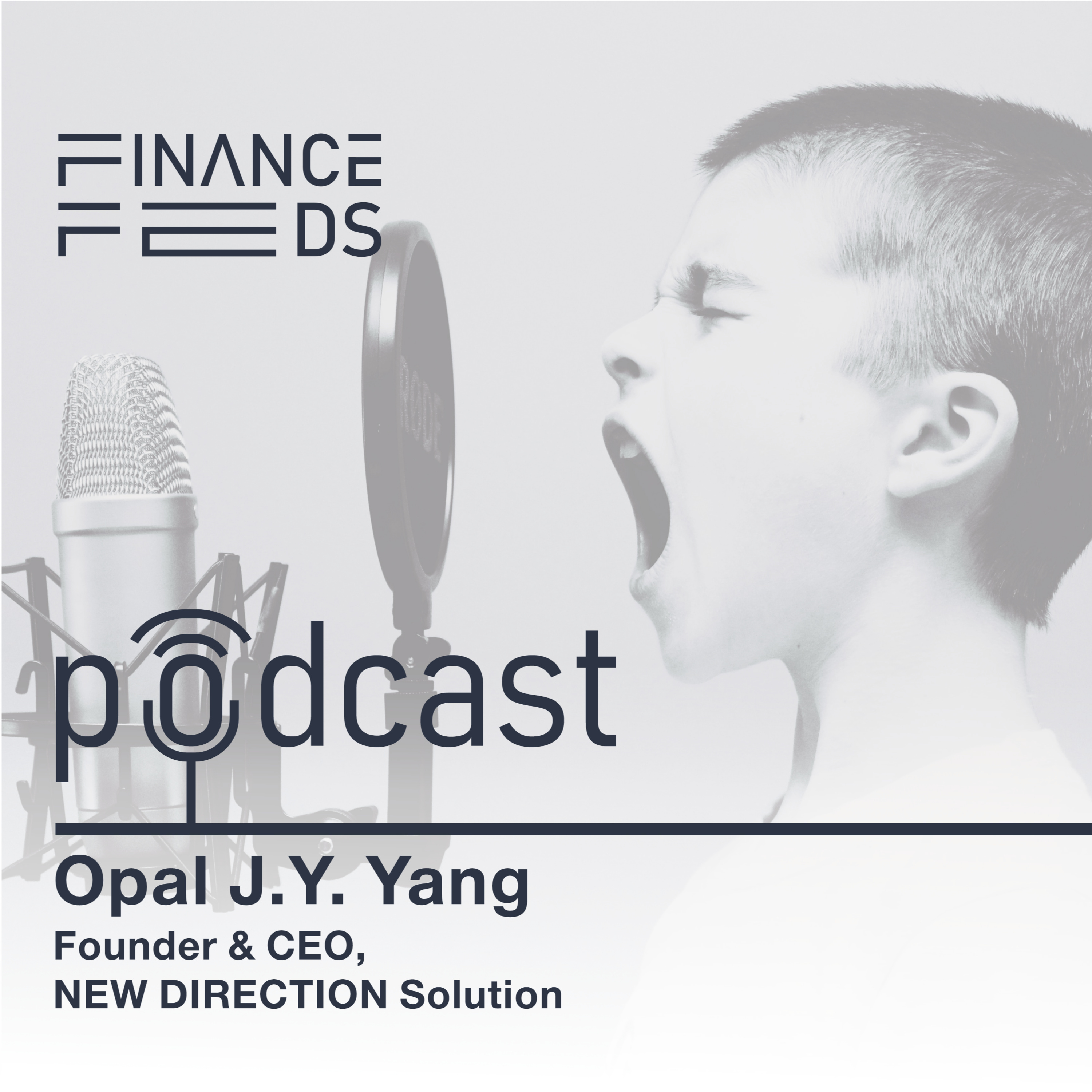 FinanceFeeds Podcast