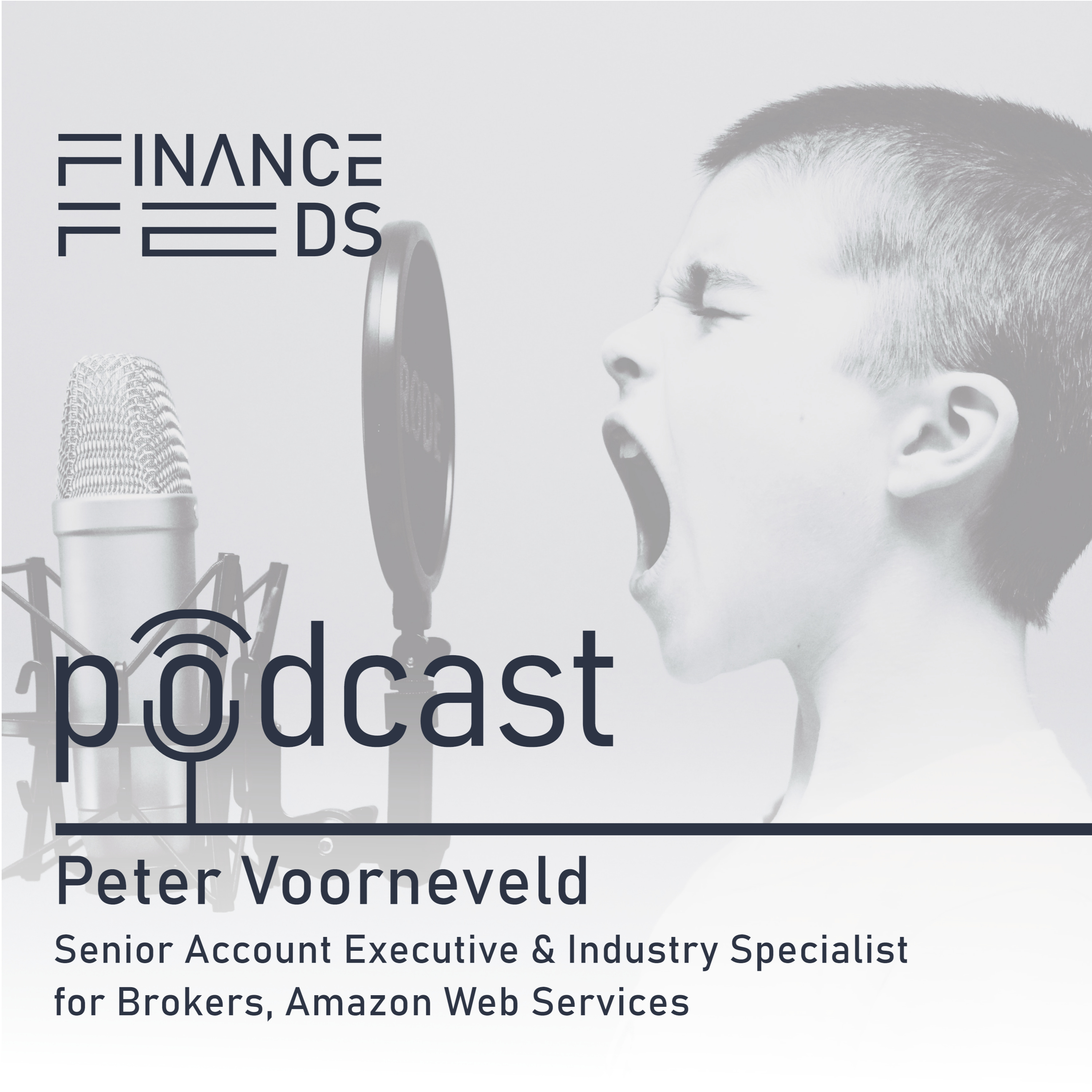 FinanceFeeds Podcast