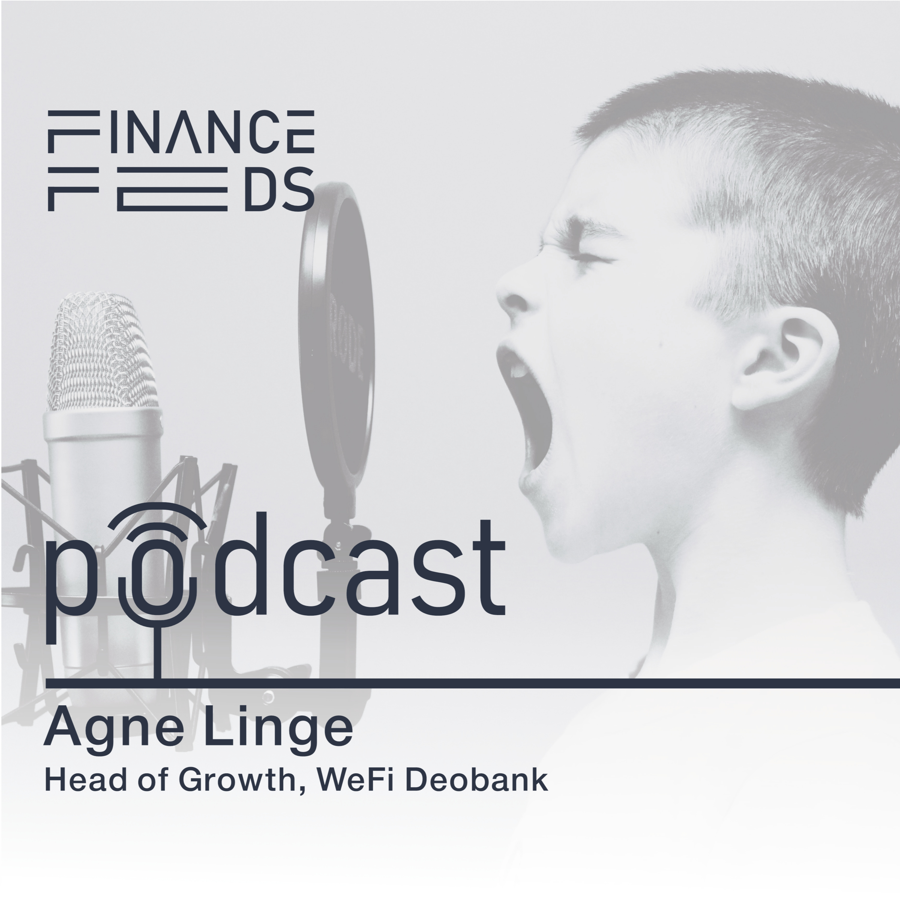 FinanceFeeds Podcast