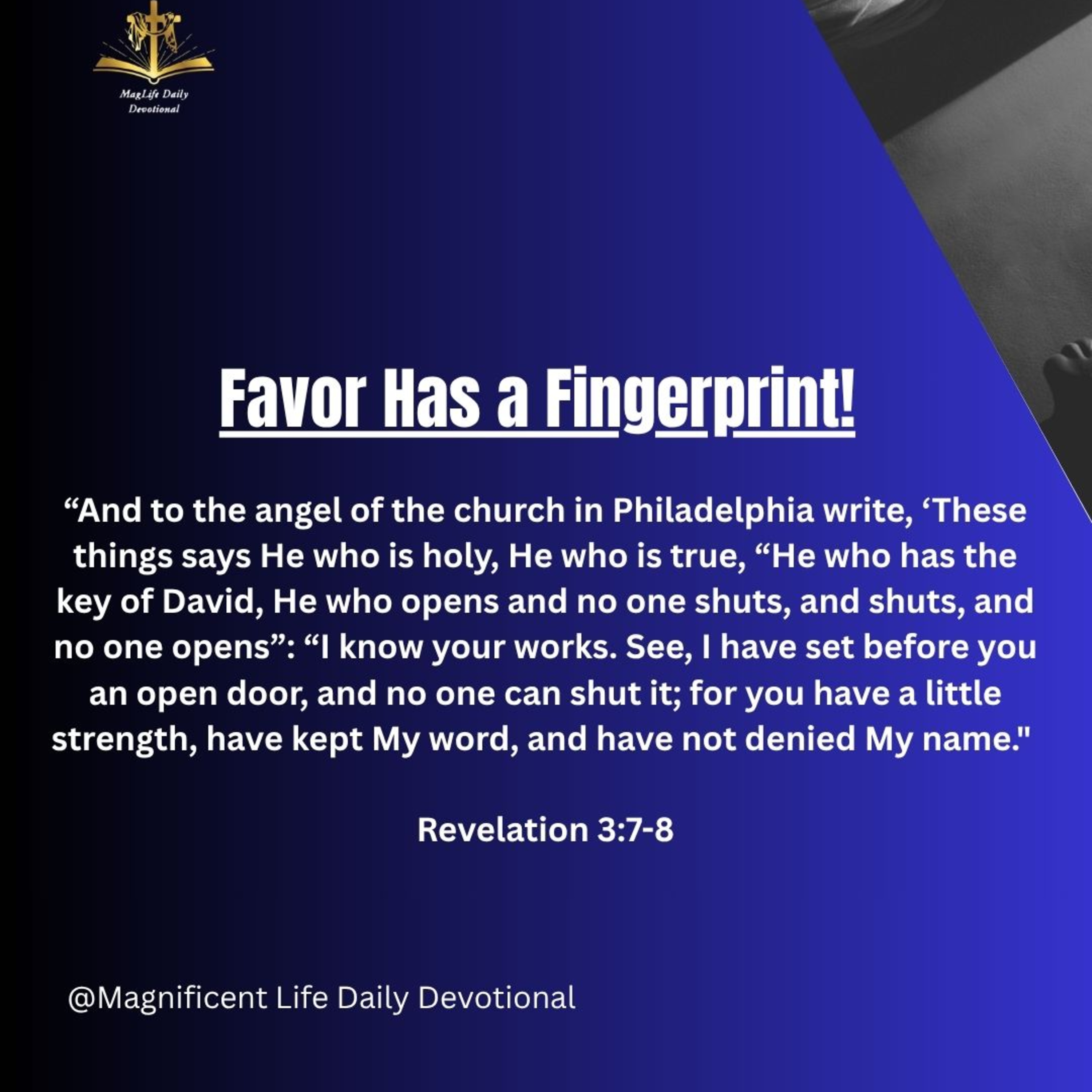 Favor Has a Fingerprint! episode artwork