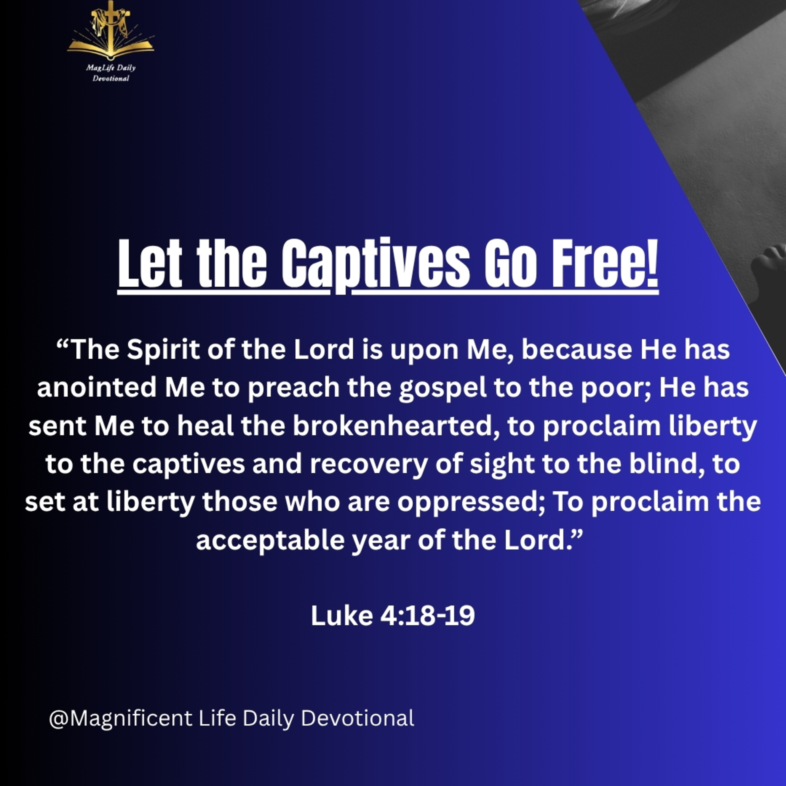 Let the Captives Go Free! episode artwork