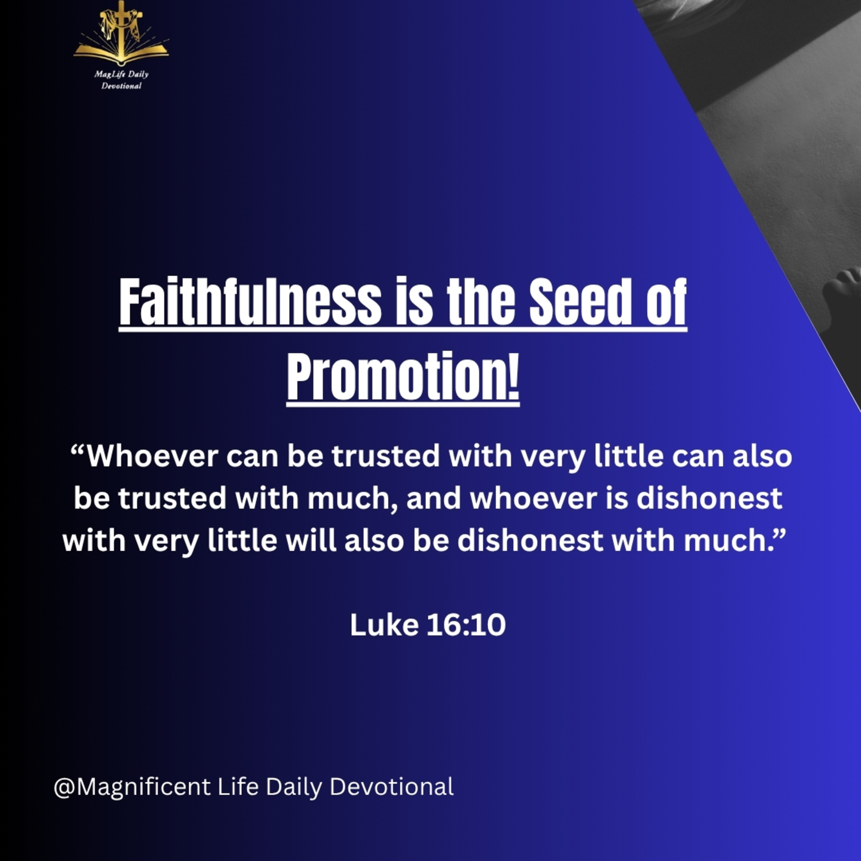 Faithfulness is the Seed of Promotion! episode artwork