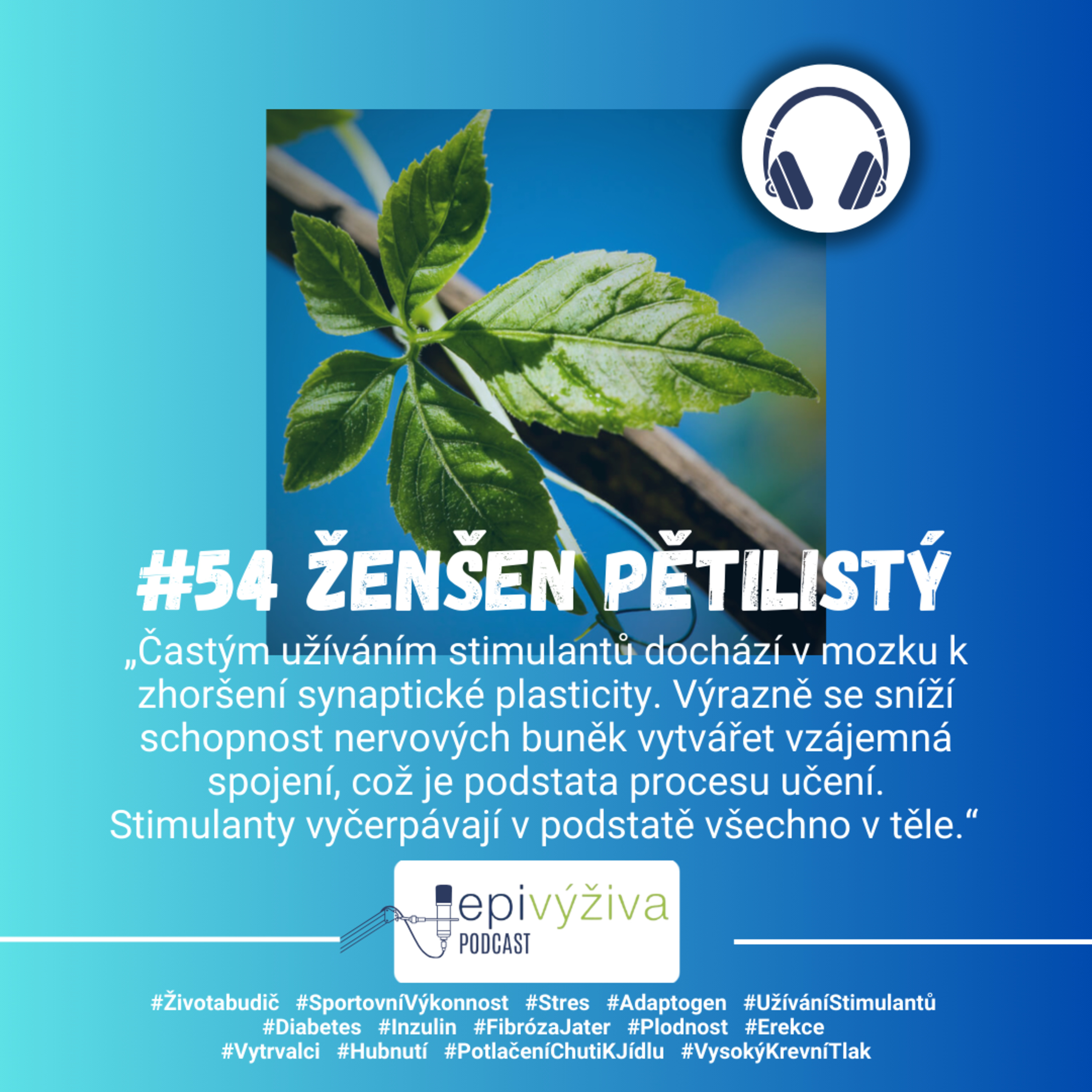 #54 ŽENŠEN PĚTILISTÝ / vyčerpání, stres, stimulanty, nadledviny, sportovní výkonnost, diabetes, inzulin, fibróza jater, erekce, plodnost, vysoký krevní tlak episode artwork