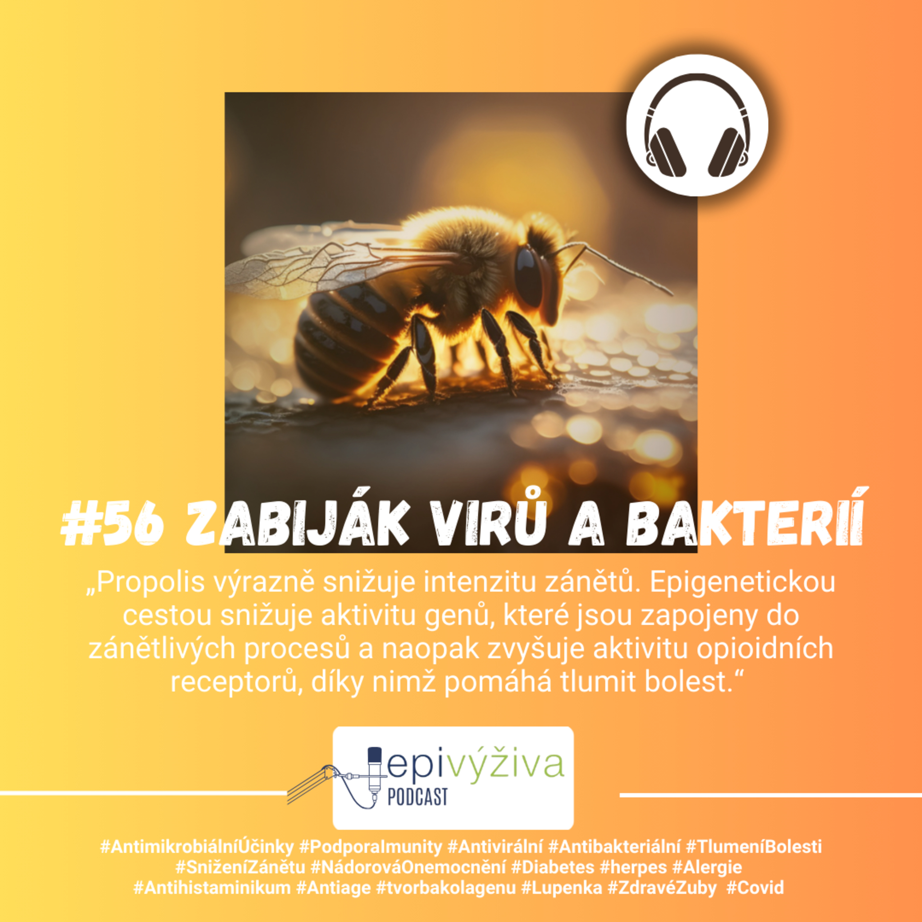 #56 PROPOLIS / antimikrobiální, imunita, antivirální, antibakteriální, tlumení bolesti, snížení zánětu, diabetes, herpes, alergie, antiage, tvorba kolagenu ,lupenka, zdravé zuby, covid  episode artwork
