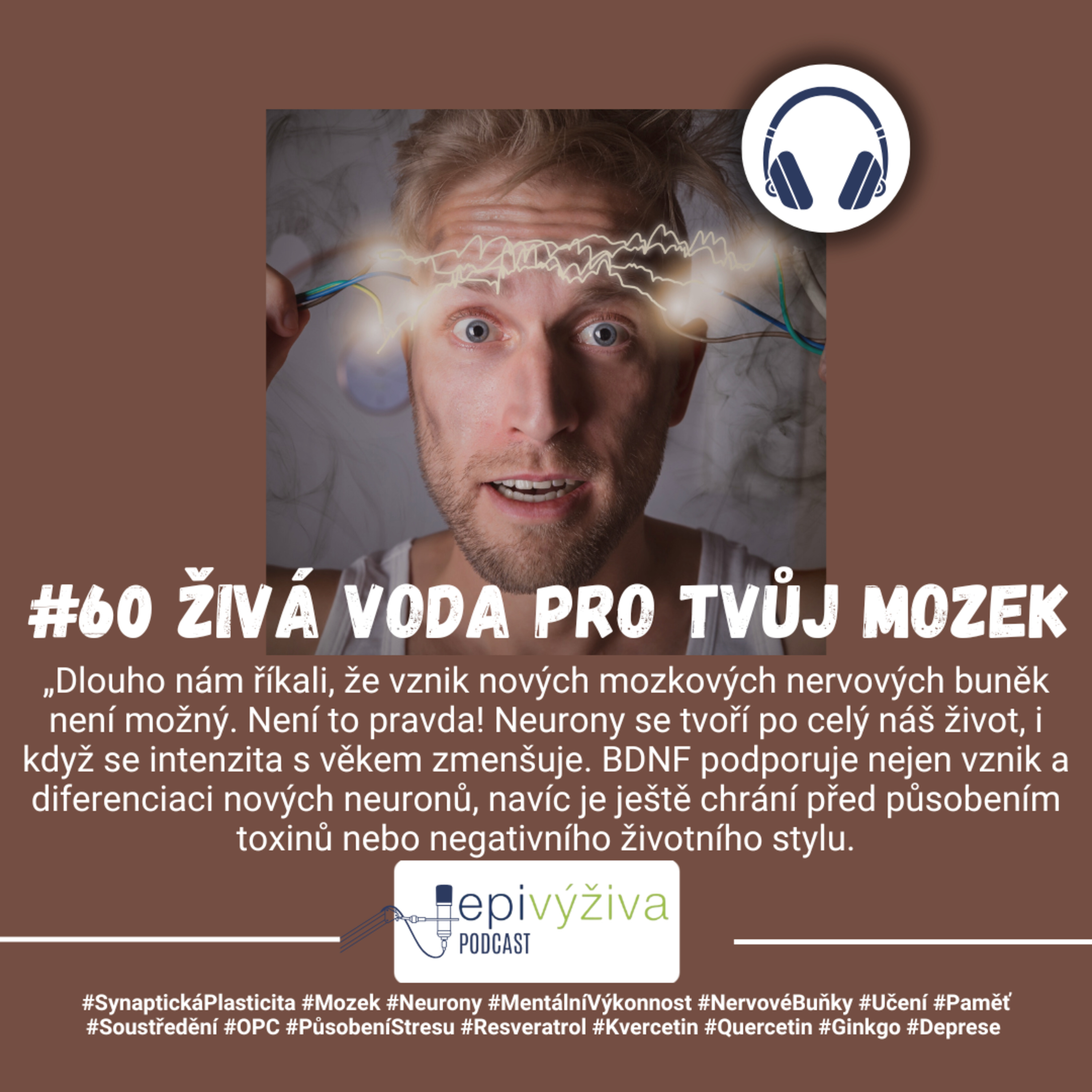 #60 BDNF / Mozek, Synaptická plasticita, Neurony, Mentální výkonnost, Nervové buňky, Učení, Paměť, Soustředění, OPC, Působení stresu, Resveratrol, Kvercetin, Quercetin, Ginkgo, Deprese  episode artwork