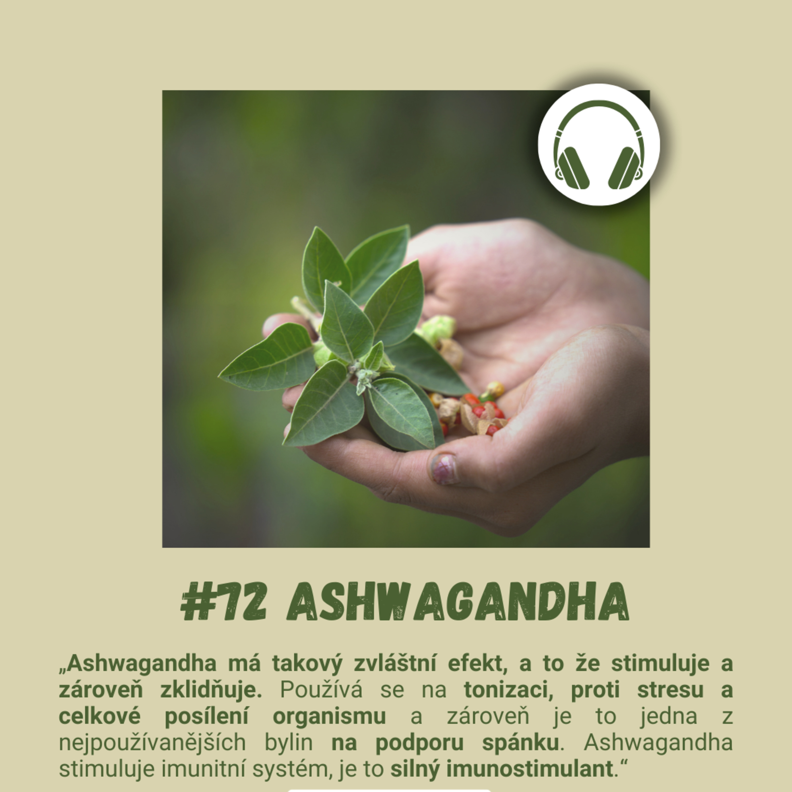 #72 ASHWAGANDHA / adaptogen, Ayurveda, afrodiziakum, imunita, revmatoidní artritida, GABA, úzkosti, deprese, mentální výkonnost, spánek, usínání, nádorová, onemocnění, mozek, nervy, erekce episode artwork