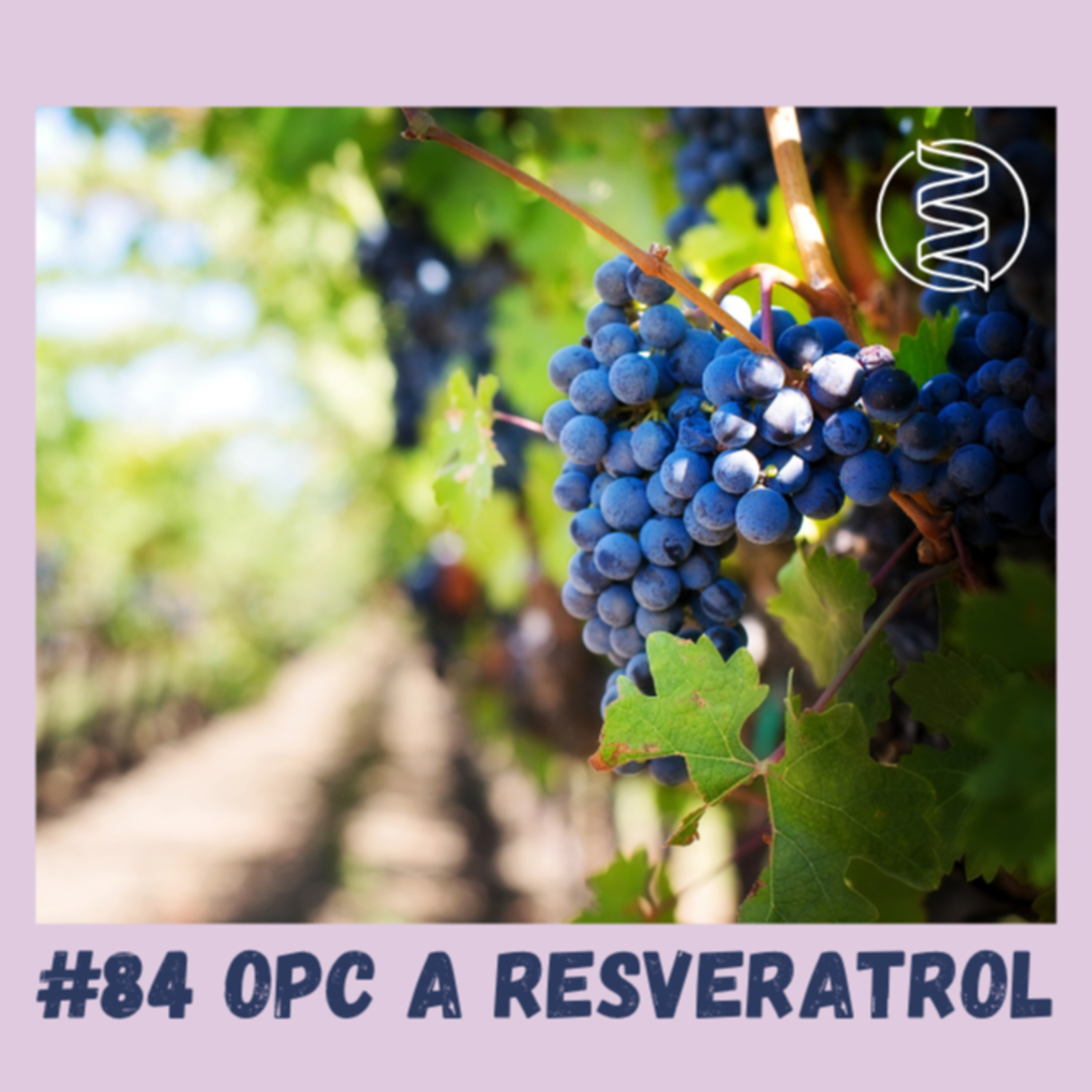 #84 OPC A RESVERATROL / longevity, mitochondrie, sirtuiny, NAD+, mikrobiom, játra, hubnutí, testosteron, krvetvorba, regenerace, mentální výkonnost, akné, menopauza, akné, sportovní výkonnost episode artwork