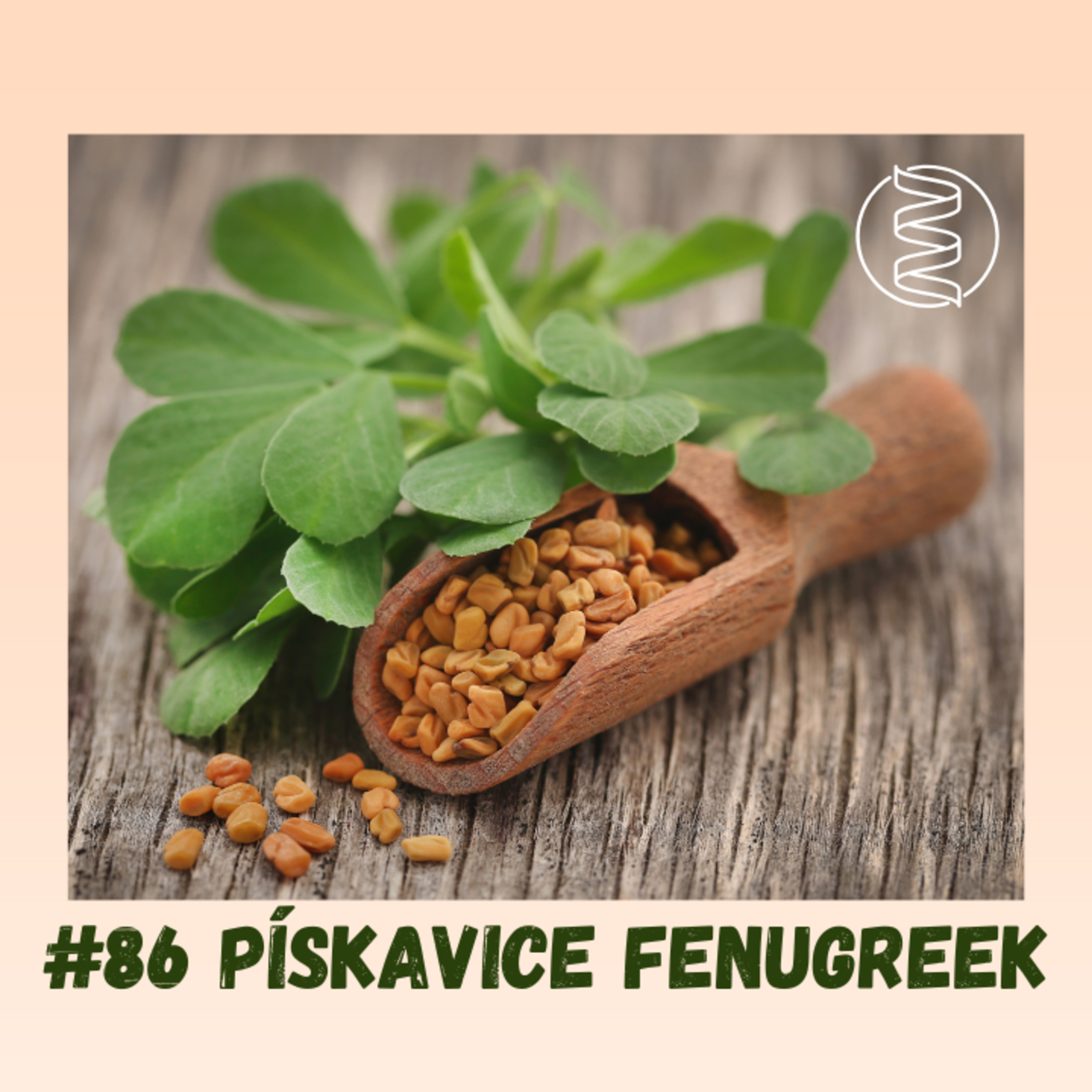 #86 PÍSKAVICE ŘECKÉ SENO FENUGREEK / regenerace po porodu, kojení, zvýšení testosteronu, sportovní výkonnost, cholesterol, diabetes, laktační poradkyně, menopauza, hubnutí episode artwork
